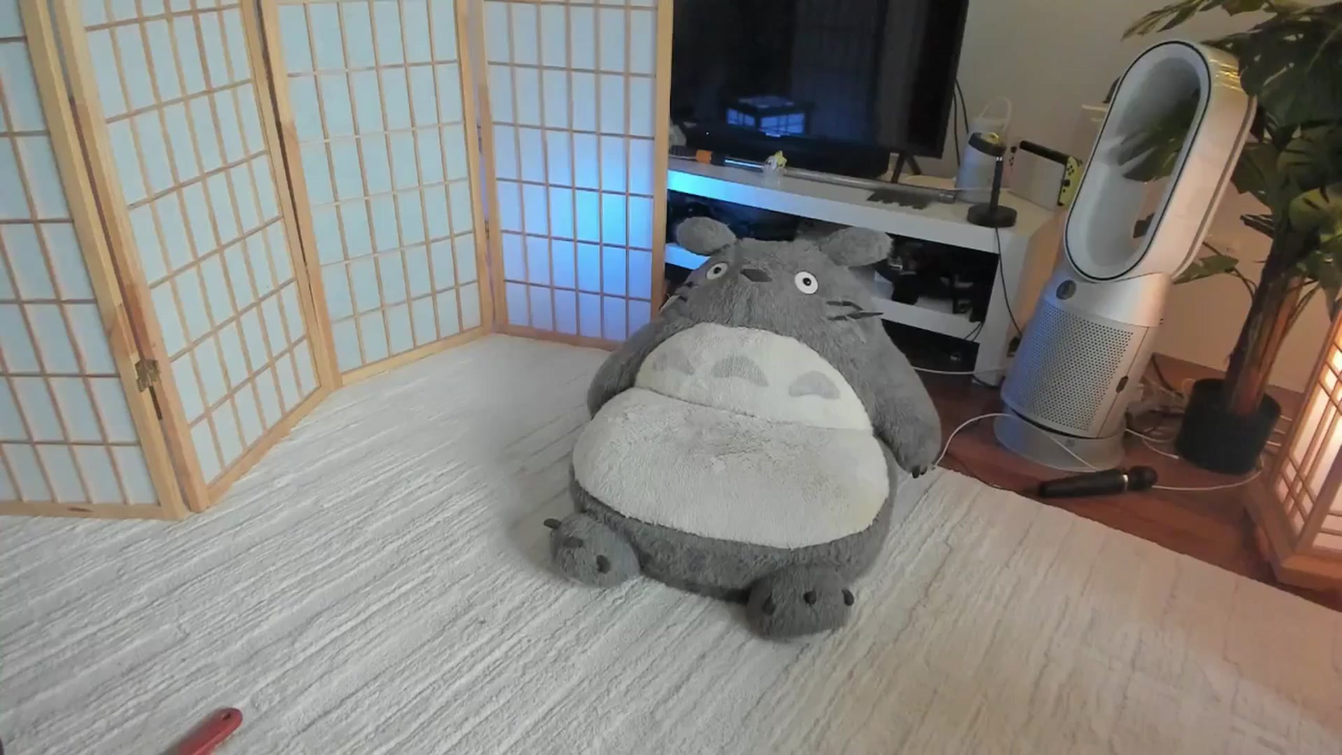 Gallery image thumbnail from SugaryBunny's myfreecams stream on, 08/27/2025, 22:40 image 15 of 20