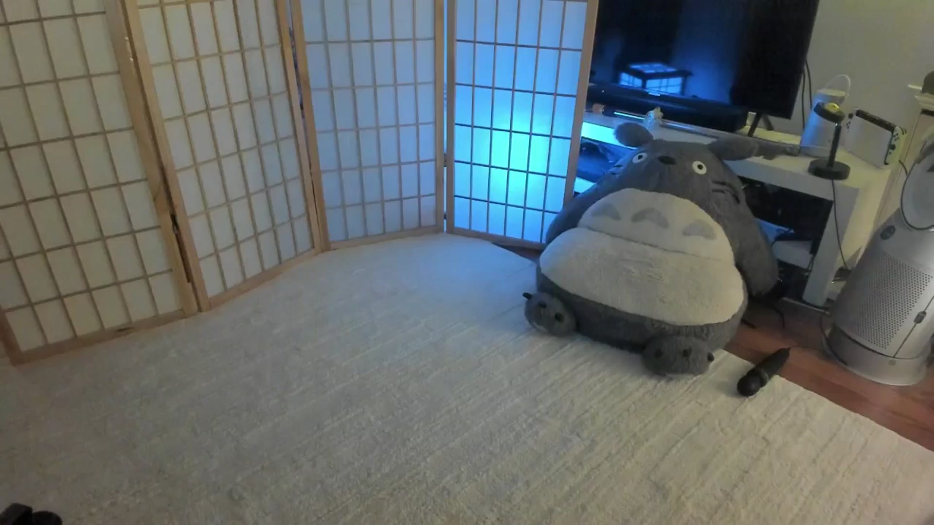 Gallery image thumbnail from SugaryBunny's myfreecams stream on, 09/07/2025, 01:56 image 18 of 20