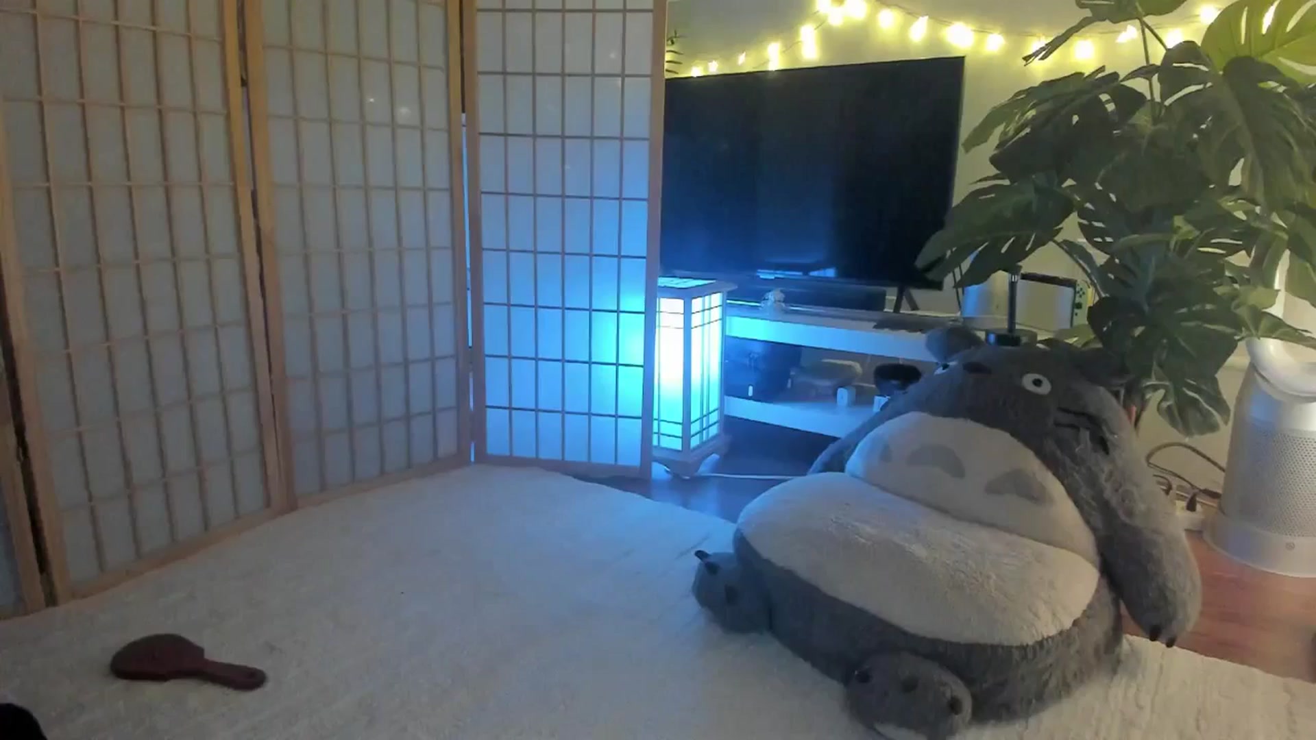 Gallery image thumbnail from SugaryBunny's myfreecams stream on, 09/07/2025, 06:47 image 18 of 20