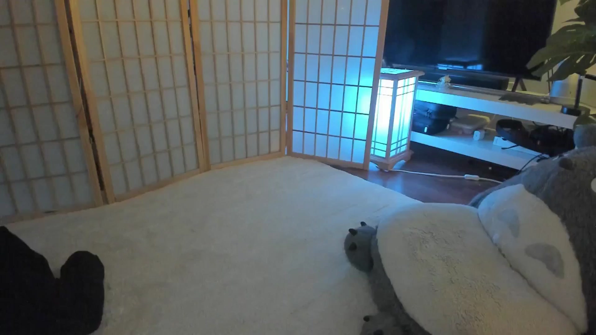 Gallery image thumbnail from SugaryBunny's myfreecams stream on, 09/07/2025, 06:47 image 8 of 20