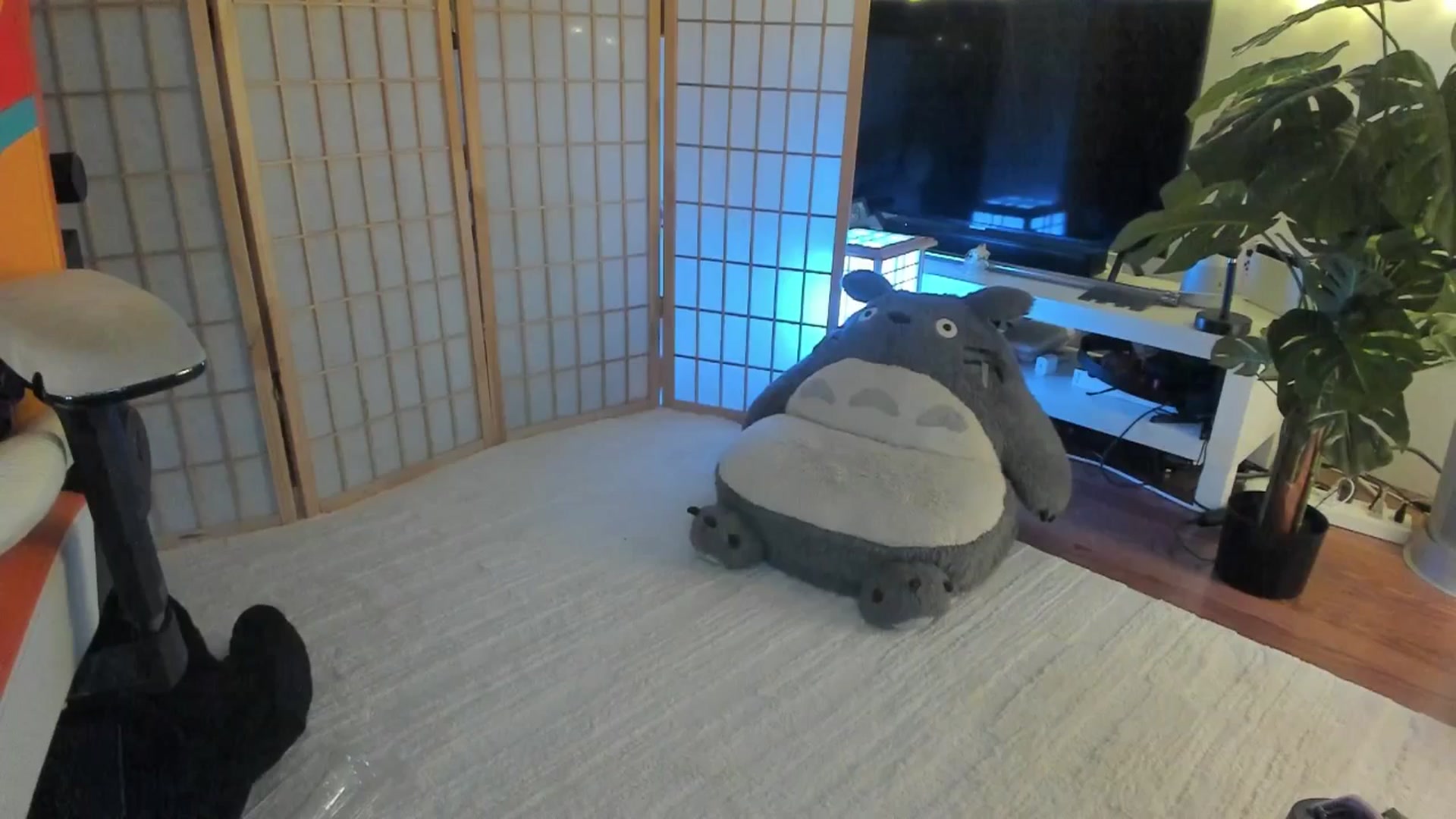 Gallery image thumbnail from SugaryBunny's myfreecams stream on, 09/07/2025, 06:47 image 11 of 20