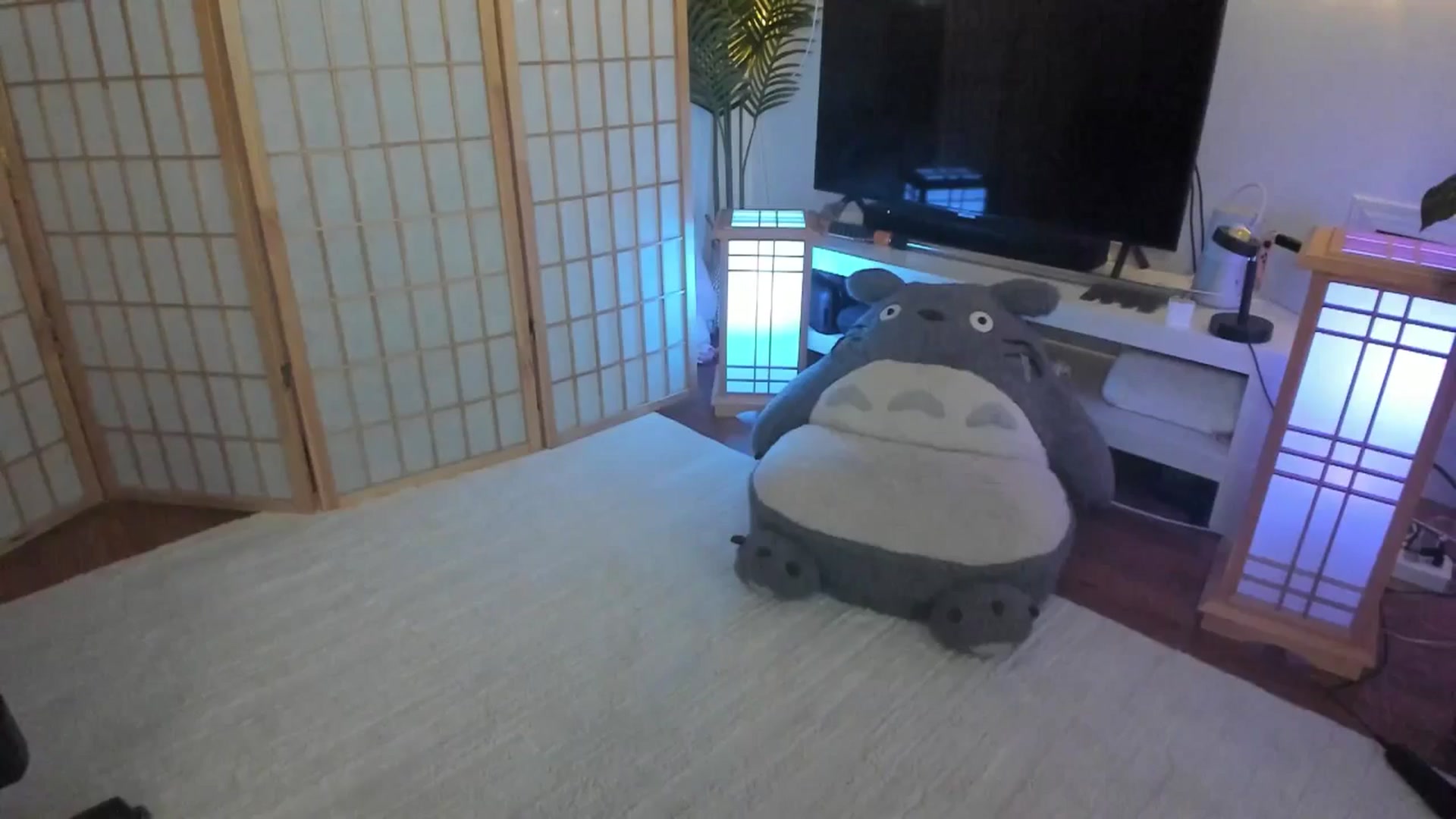 Gallery image thumbnail from SugaryBunny's myfreecams stream on, 09/24/2025, 24:05 image 6 of 20