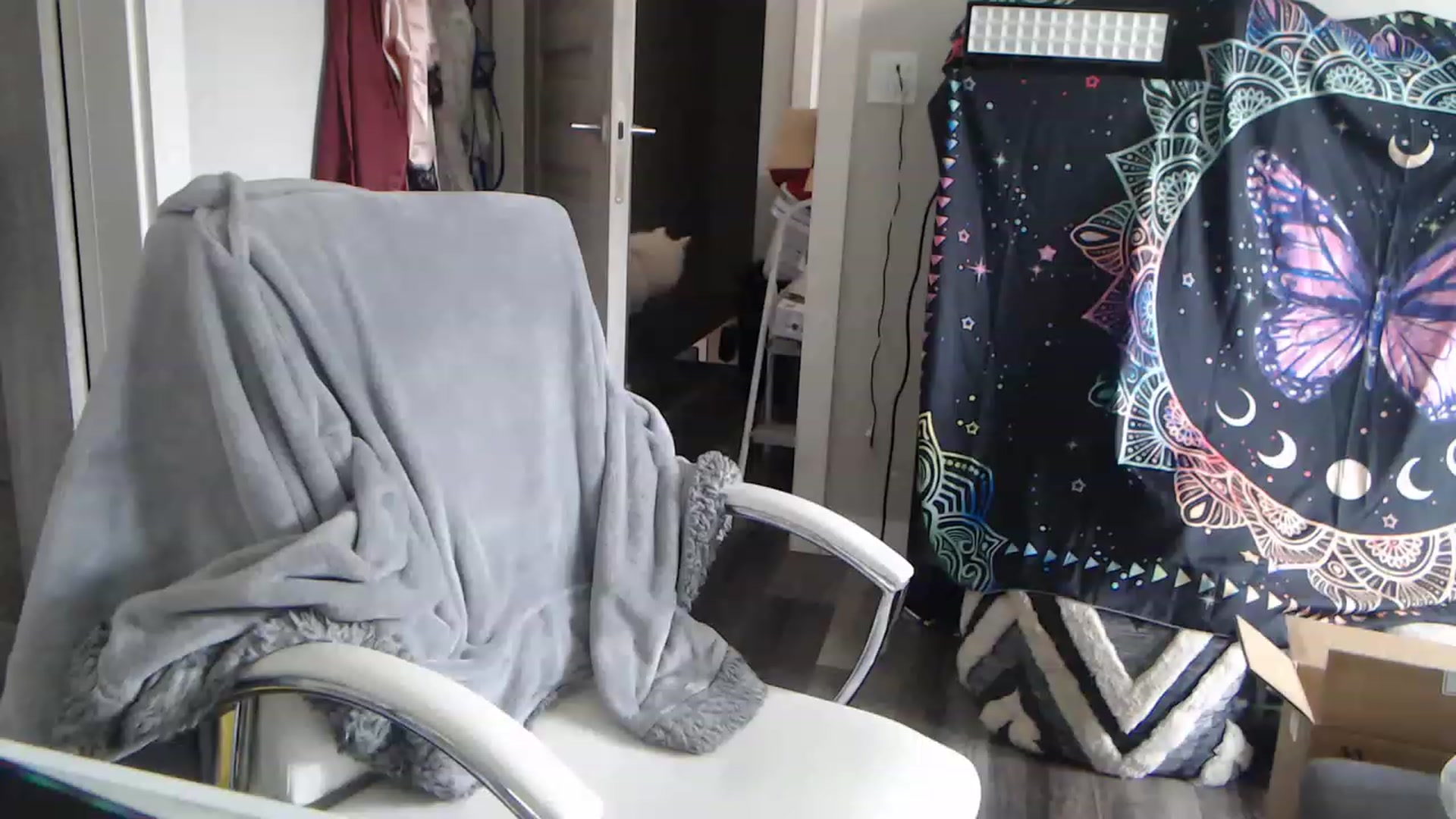 Gallery image thumbnail from SultrySnow's myfreecams stream on, 12/02/2022, 20:54 image 5 of 20