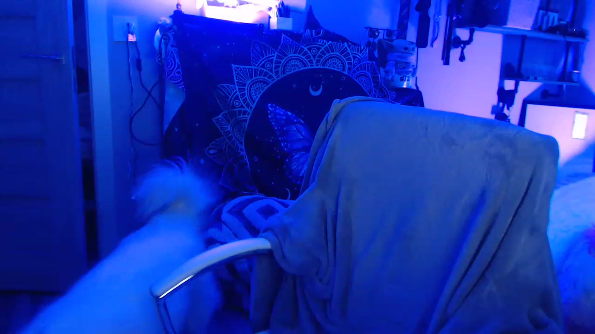 Gallery image thumbnail from SultrySnow's myfreecams stream on, 12/02/2022, 22:12 image 17 of 20
