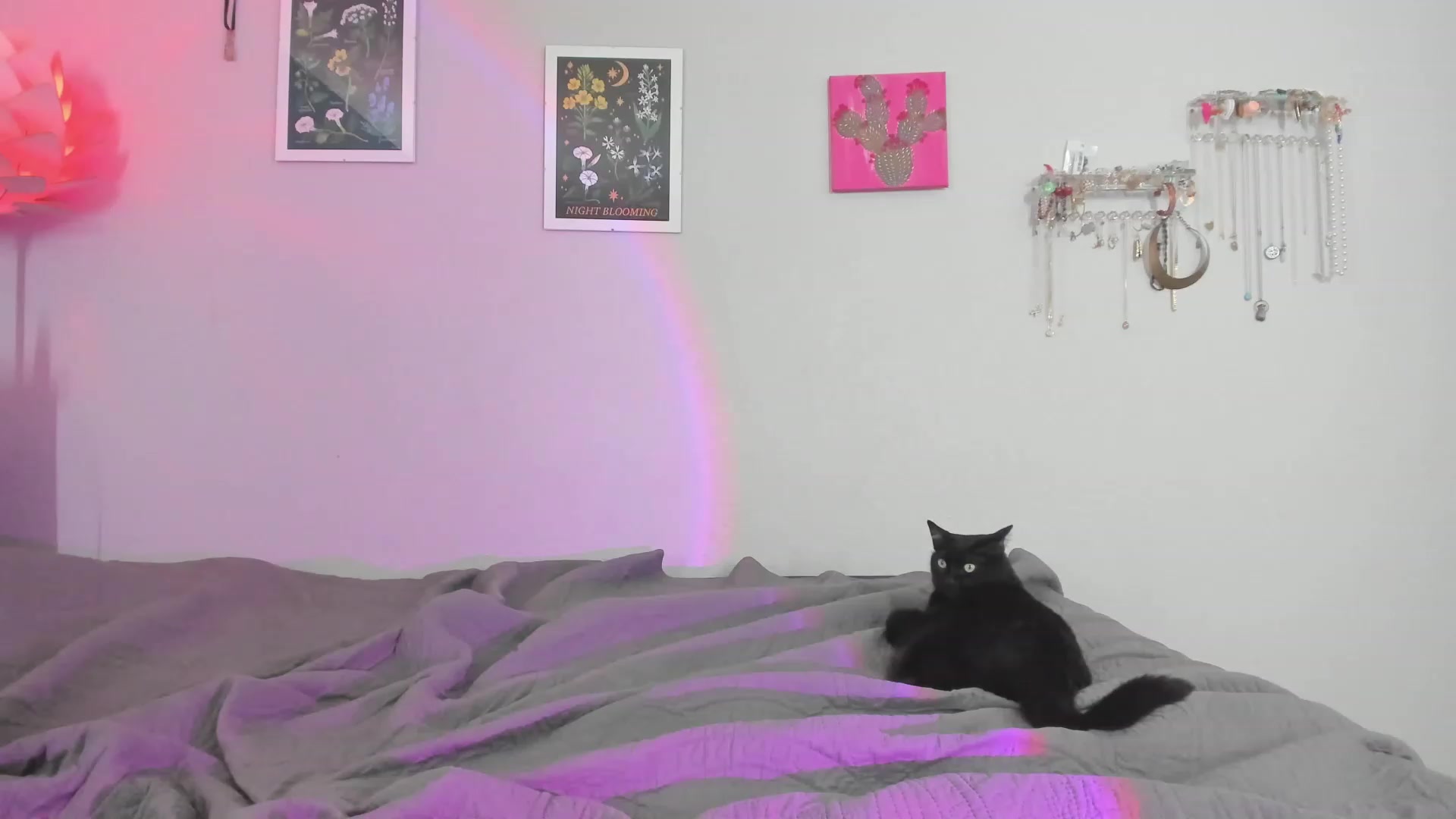 Gallery image thumbnail from SummerHart's myfreecams stream on, 07/23/2023, 04:24 image 2 of 20