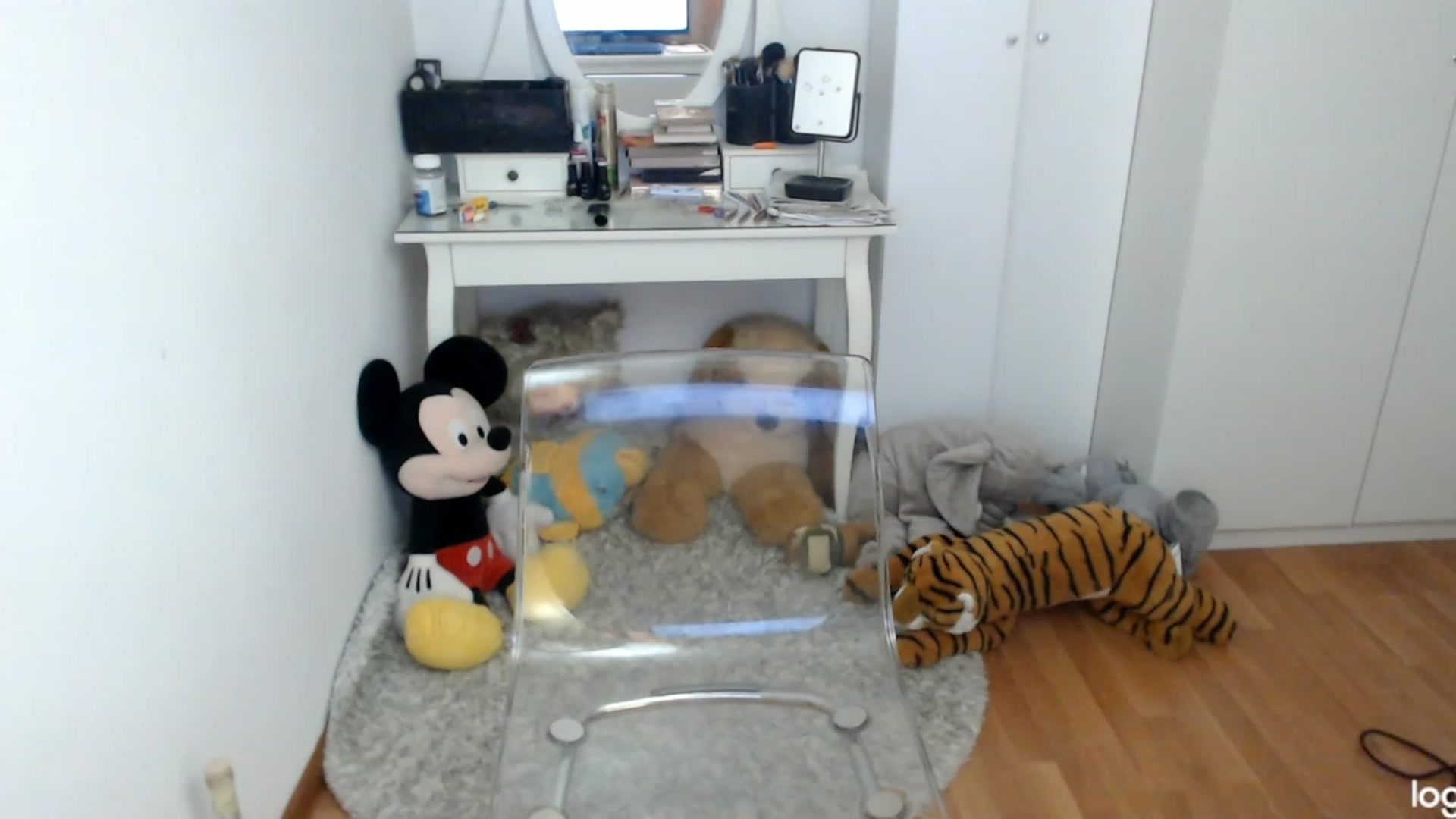 Gallery image thumbnail from SummerJewel's myfreecams stream on, 06/16/2023, 08:56 image 1 of 20
