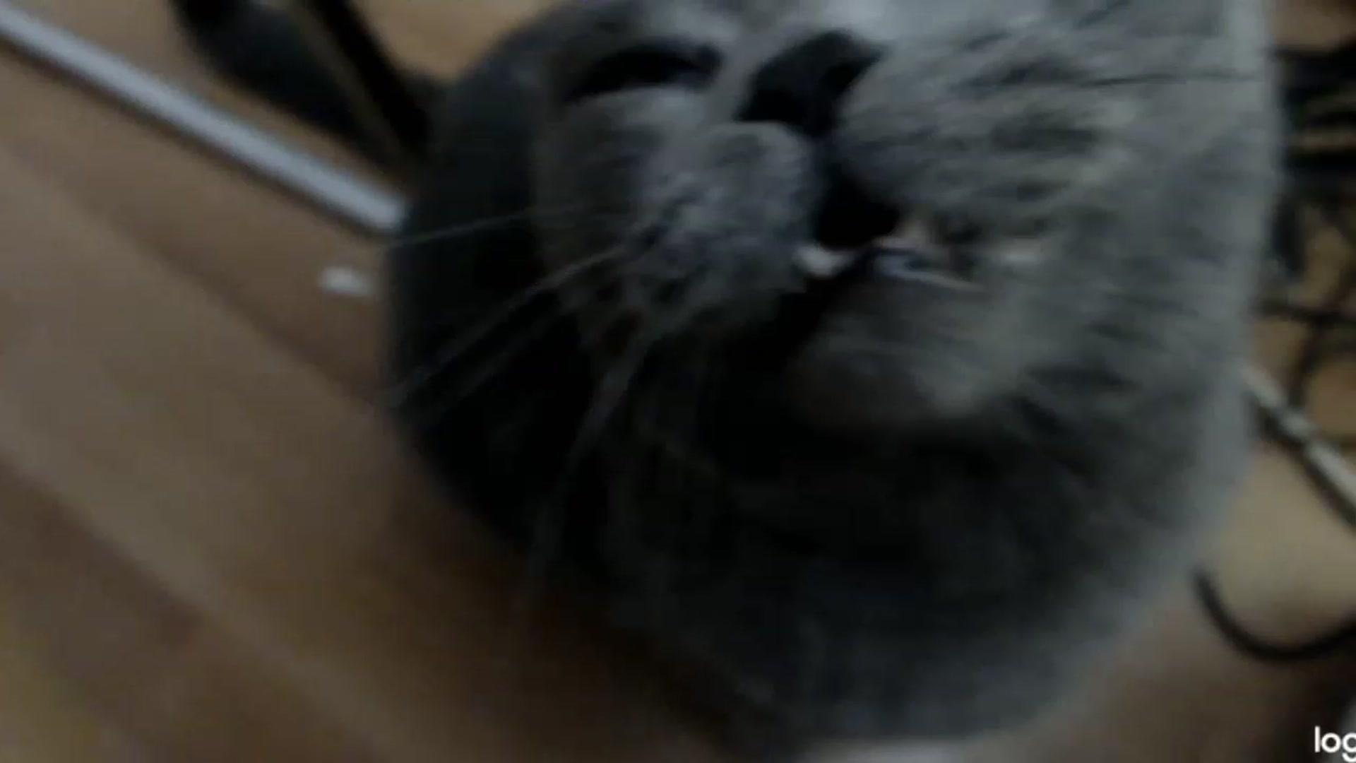 Gallery image thumbnail from SummerJewel's myfreecams stream on, 06/16/2023, 08:56 image 13 of 20
