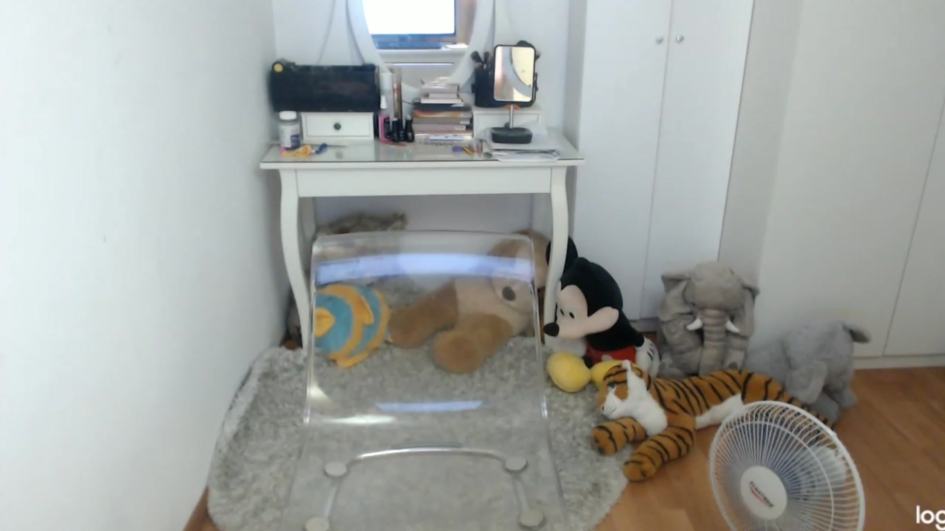 Gallery image thumbnail from SummerJewel's myfreecams stream on, 07/13/2023, 08:40 image 15 of 20