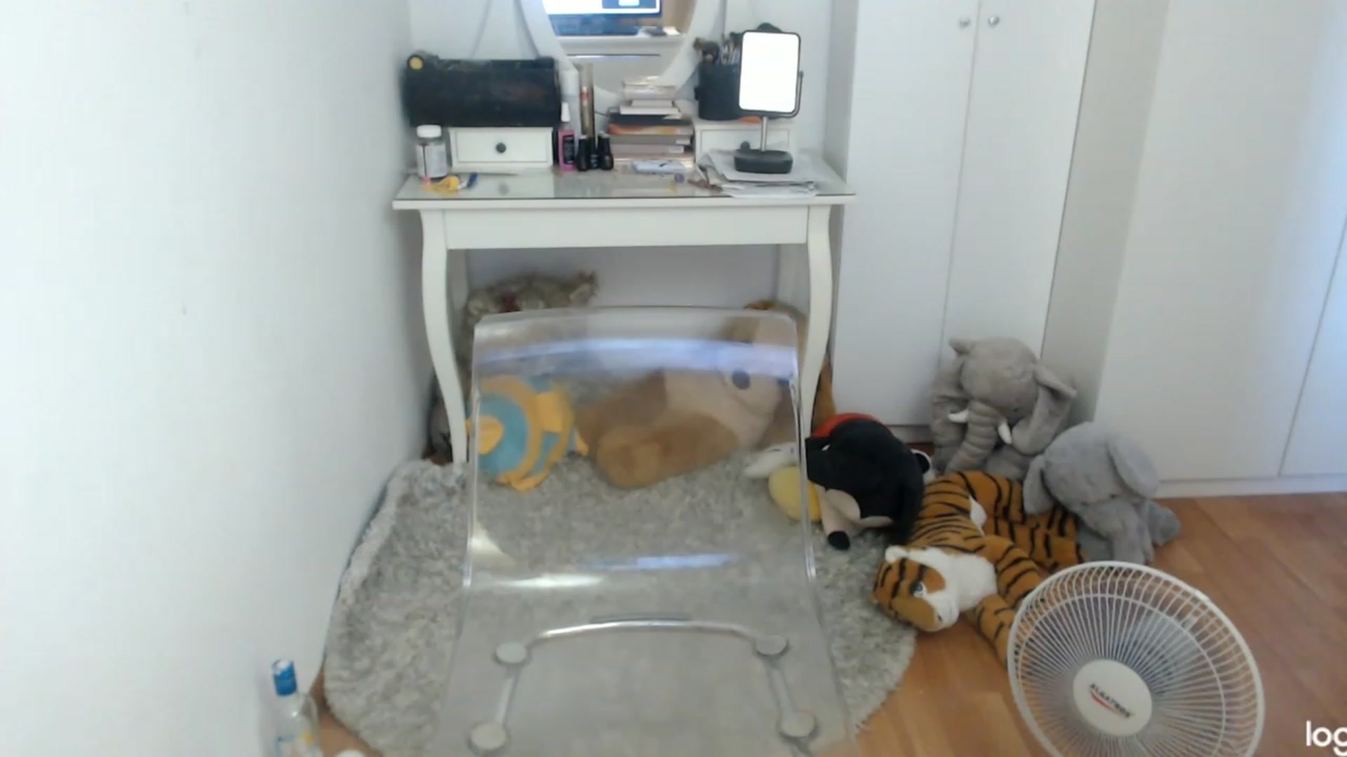 Gallery image thumbnail from SummerJewel's myfreecams stream on, 07/15/2023, 10:22 image 11 of 20