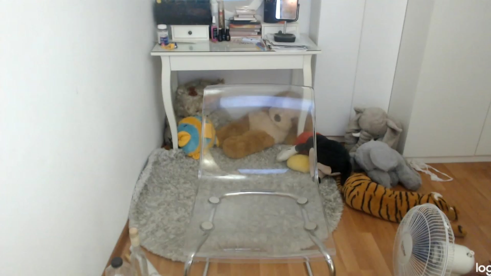 Gallery image thumbnail from SummerJewel's myfreecams stream on, 07/16/2023, 10:35 image 13 of 20