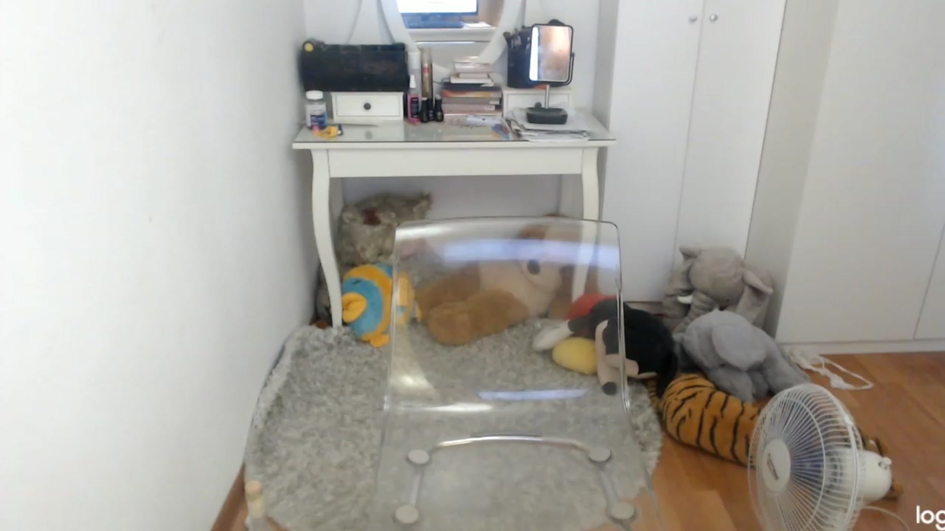 Gallery image thumbnail from SummerJewel's myfreecams stream on, 07/16/2023, 10:35 image 7 of 20