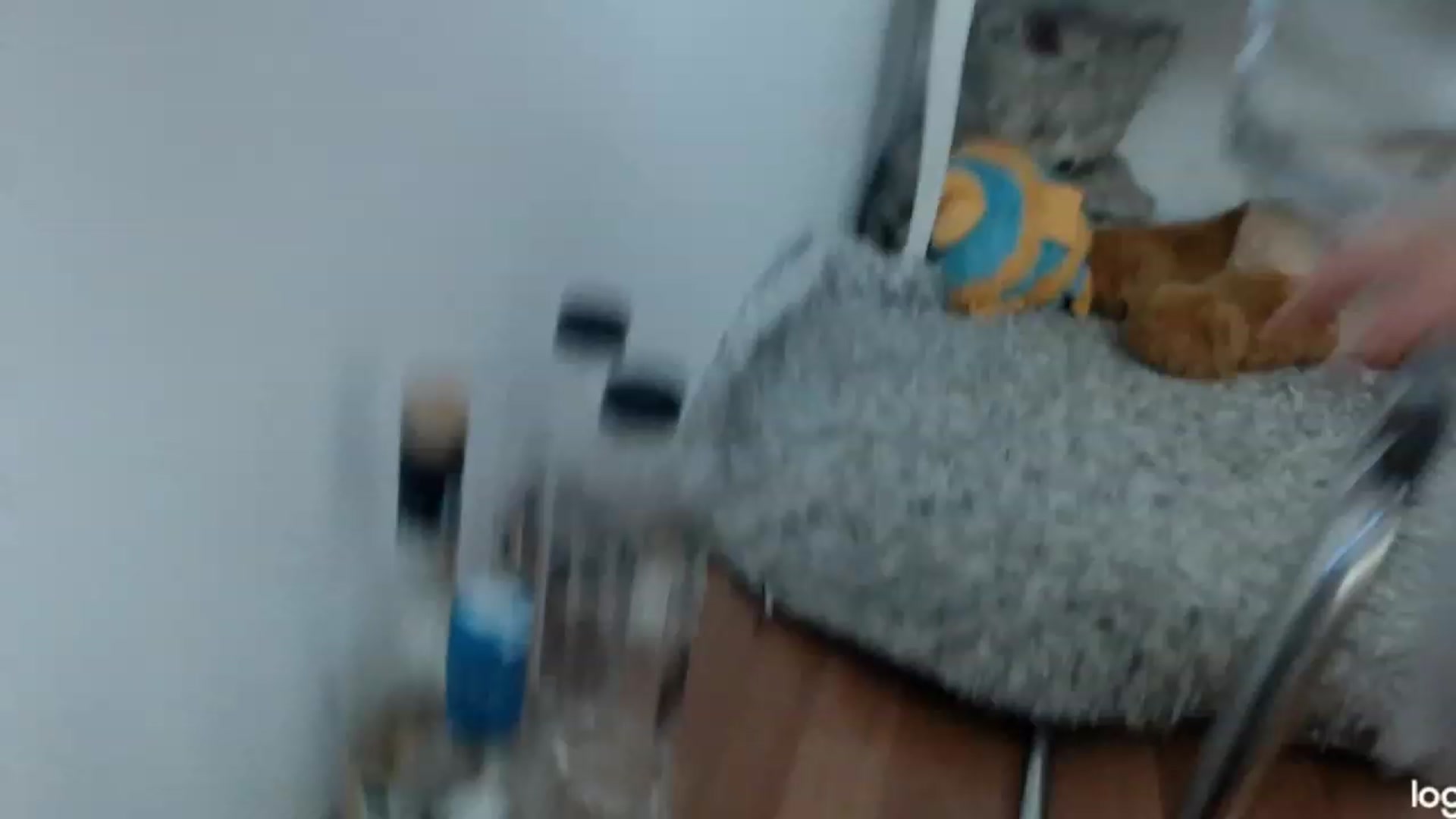 Gallery image thumbnail from SummerJewel's myfreecams stream on, 07/18/2023, 10:01 image 9 of 20