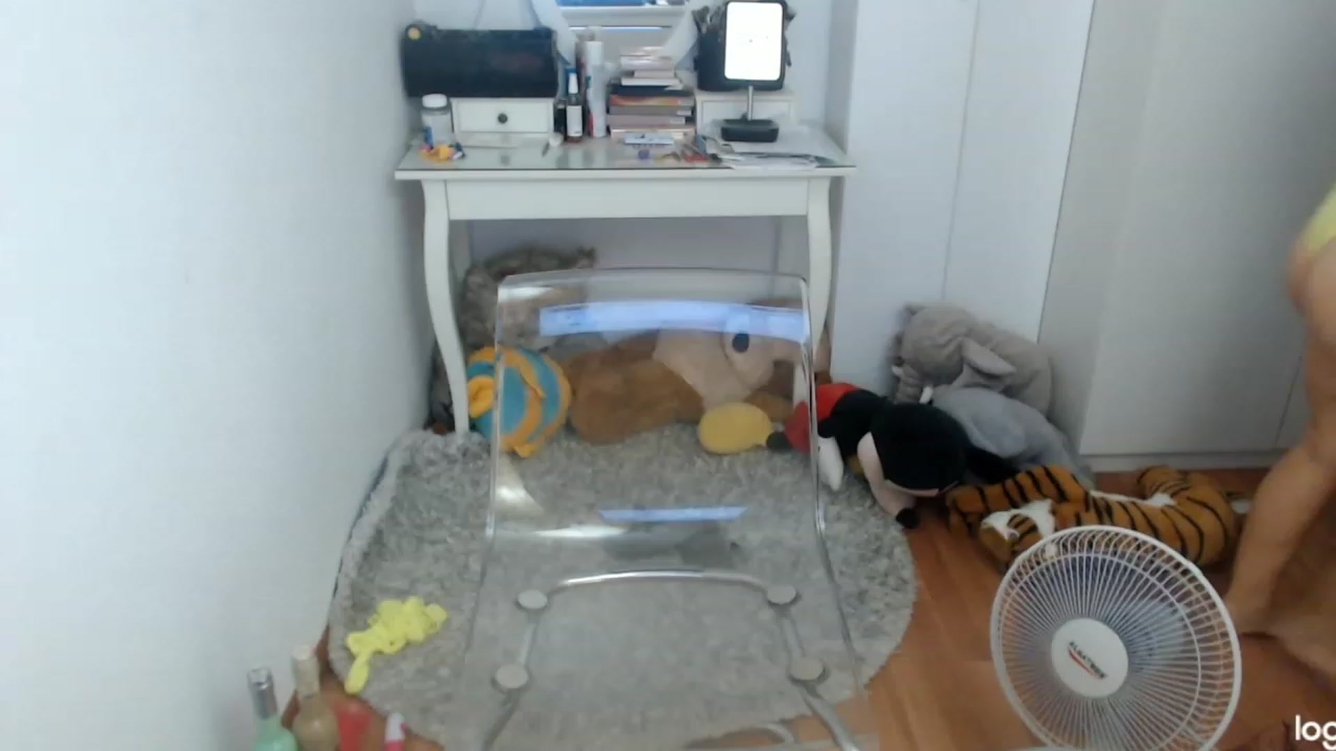 Gallery image thumbnail from SummerJewel's myfreecams stream on, 07/20/2023, 07:44 image 1 of 20