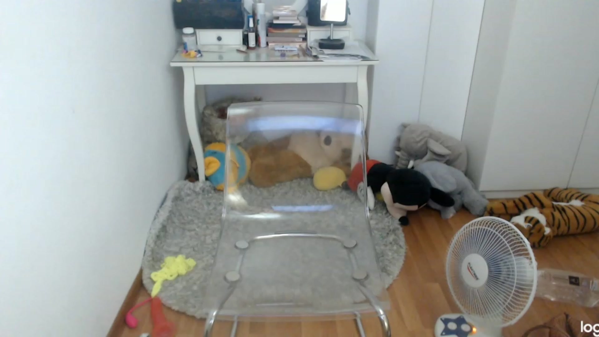 Gallery image thumbnail from SummerJewel's myfreecams stream on, 07/20/2023, 10:13 image 18 of 20