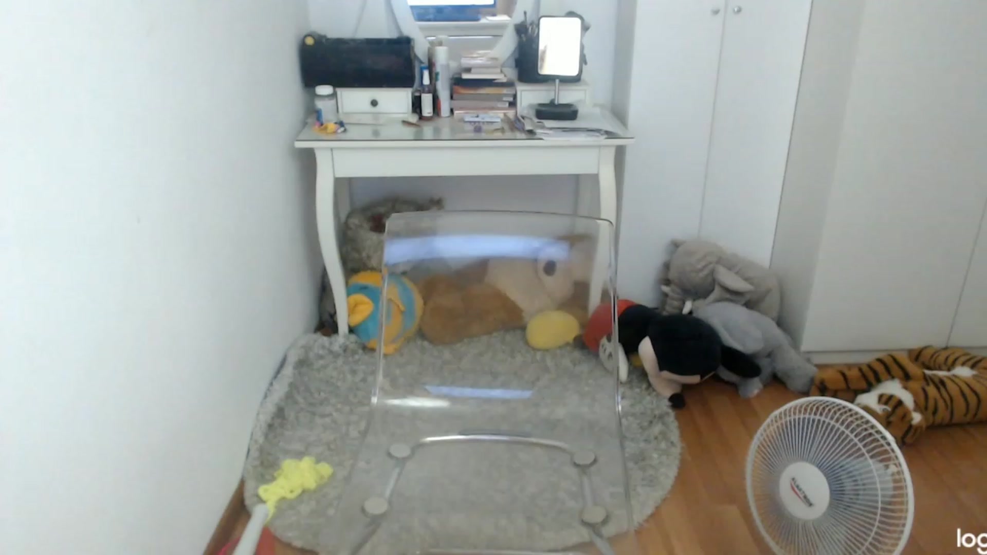 Gallery image thumbnail from SummerJewel's myfreecams stream on, 07/20/2023, 10:13 image 5 of 20