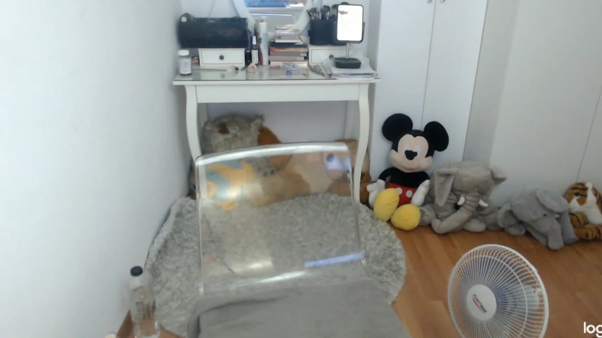 Gallery image thumbnail from SummerJewel's myfreecams stream on, 07/21/2023, 09:37 image 6 of 20