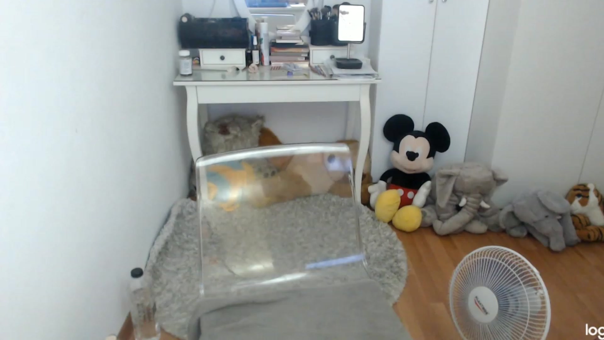 Gallery image thumbnail from SummerJewel's myfreecams stream on, 07/21/2023, 09:37 image 7 of 20