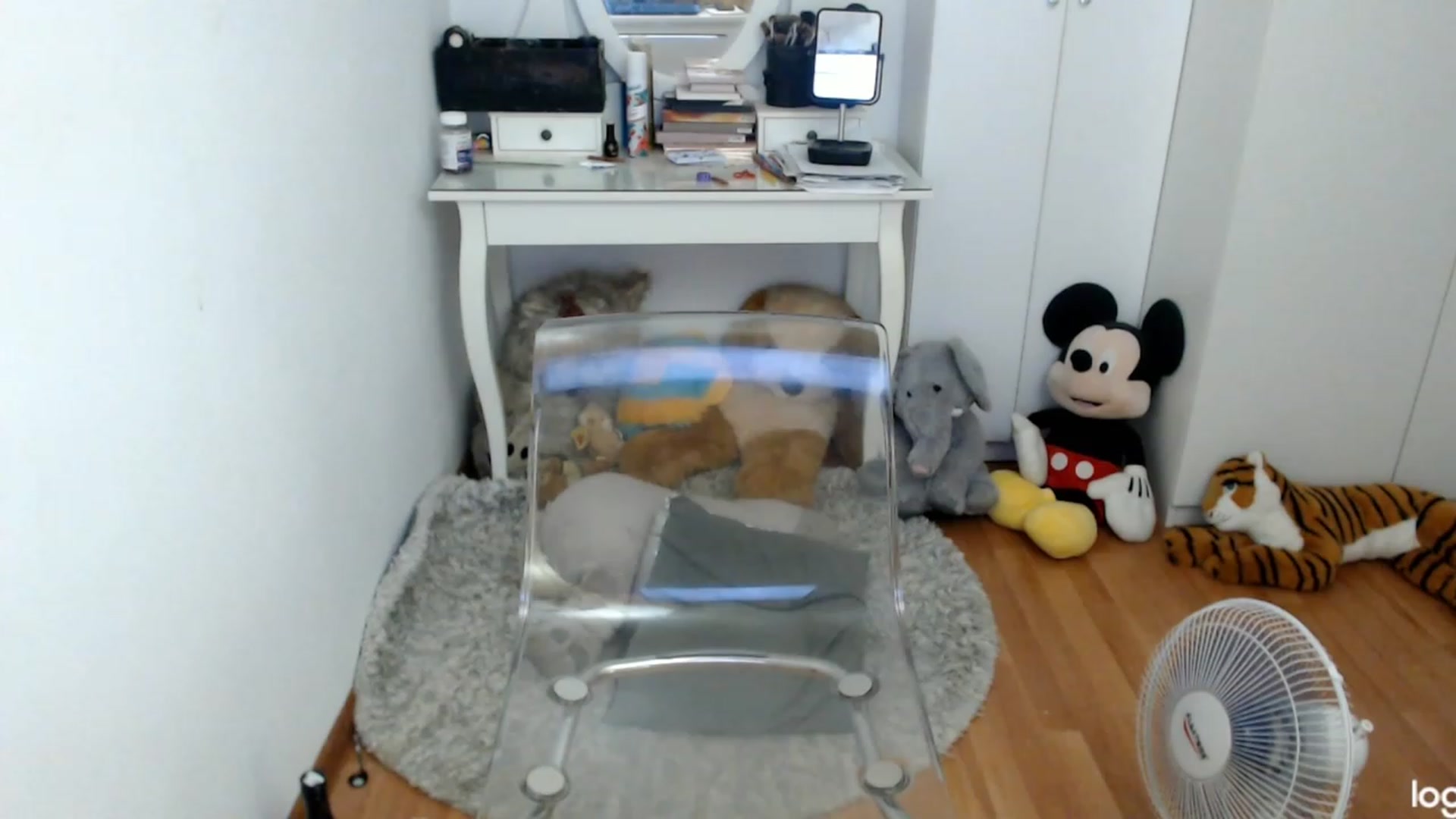Gallery image thumbnail from SummerJewel's myfreecams stream on, 07/24/2023, 10:21 image 8 of 20