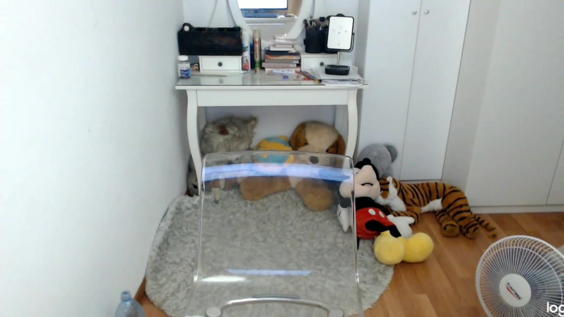 Gallery image thumbnail from SummerJewel's myfreecams stream on, 08/03/2023, 09:39 image 5 of 20