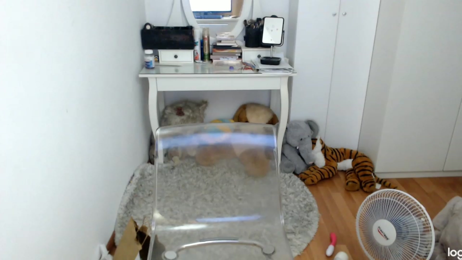 Gallery image thumbnail from SummerJewel's myfreecams stream on, 08/04/2023, 09:30 image 17 of 20