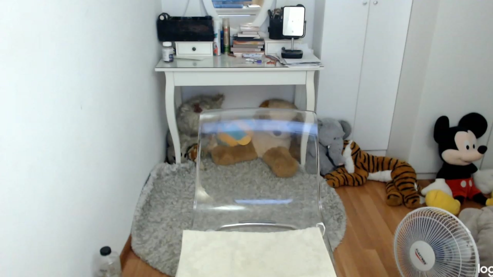 Gallery image thumbnail from SummerJewel's myfreecams stream on, 08/05/2023, 08:12 image 11 of 20