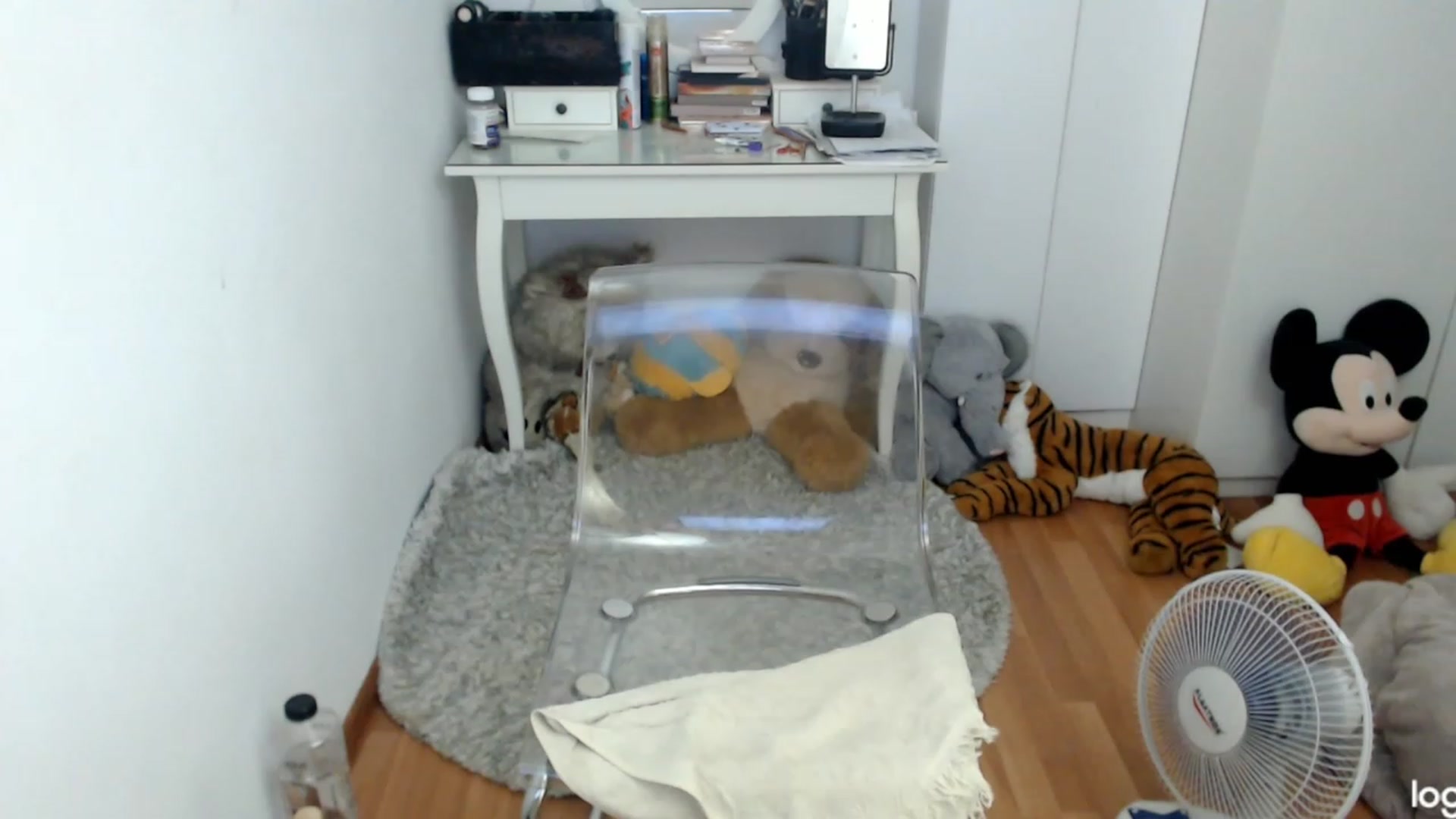 Gallery image thumbnail from SummerJewel's myfreecams stream on, 08/05/2023, 08:12 image 18 of 20