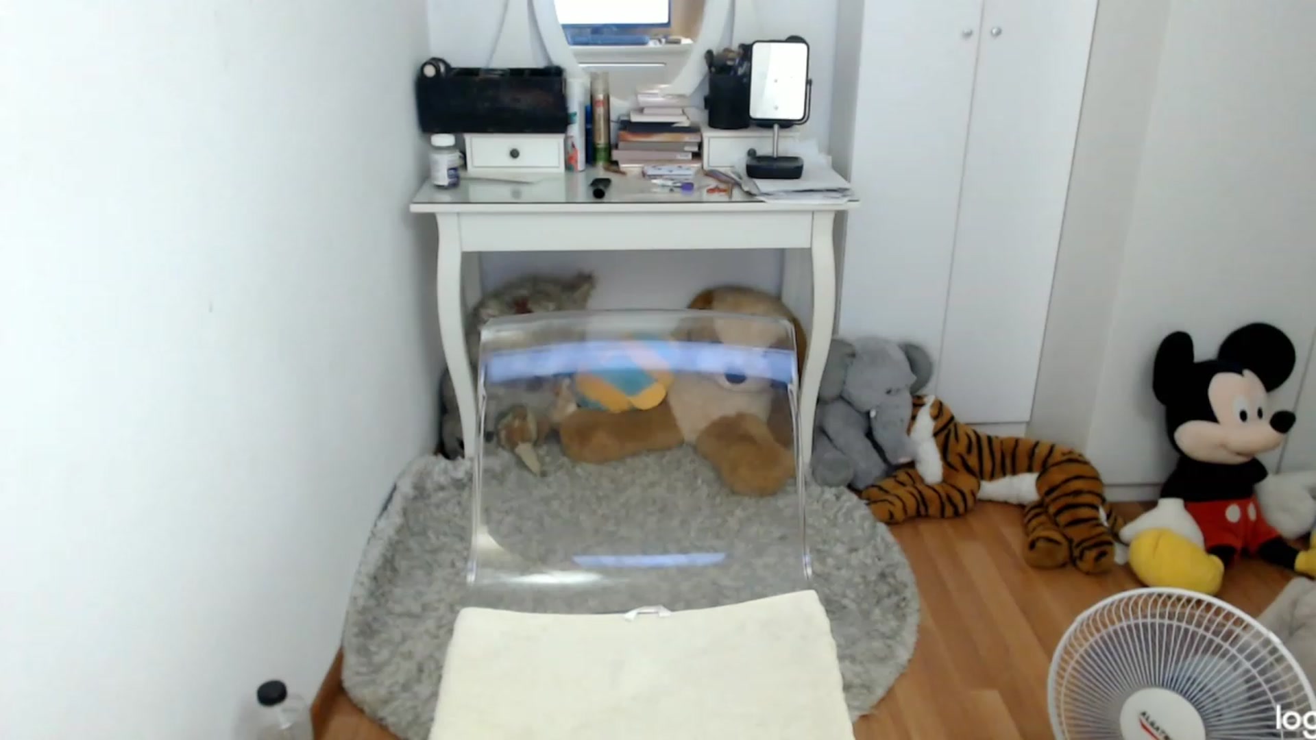 Gallery image thumbnail from SummerJewel's myfreecams stream on, 08/05/2023, 08:12 image 3 of 20
