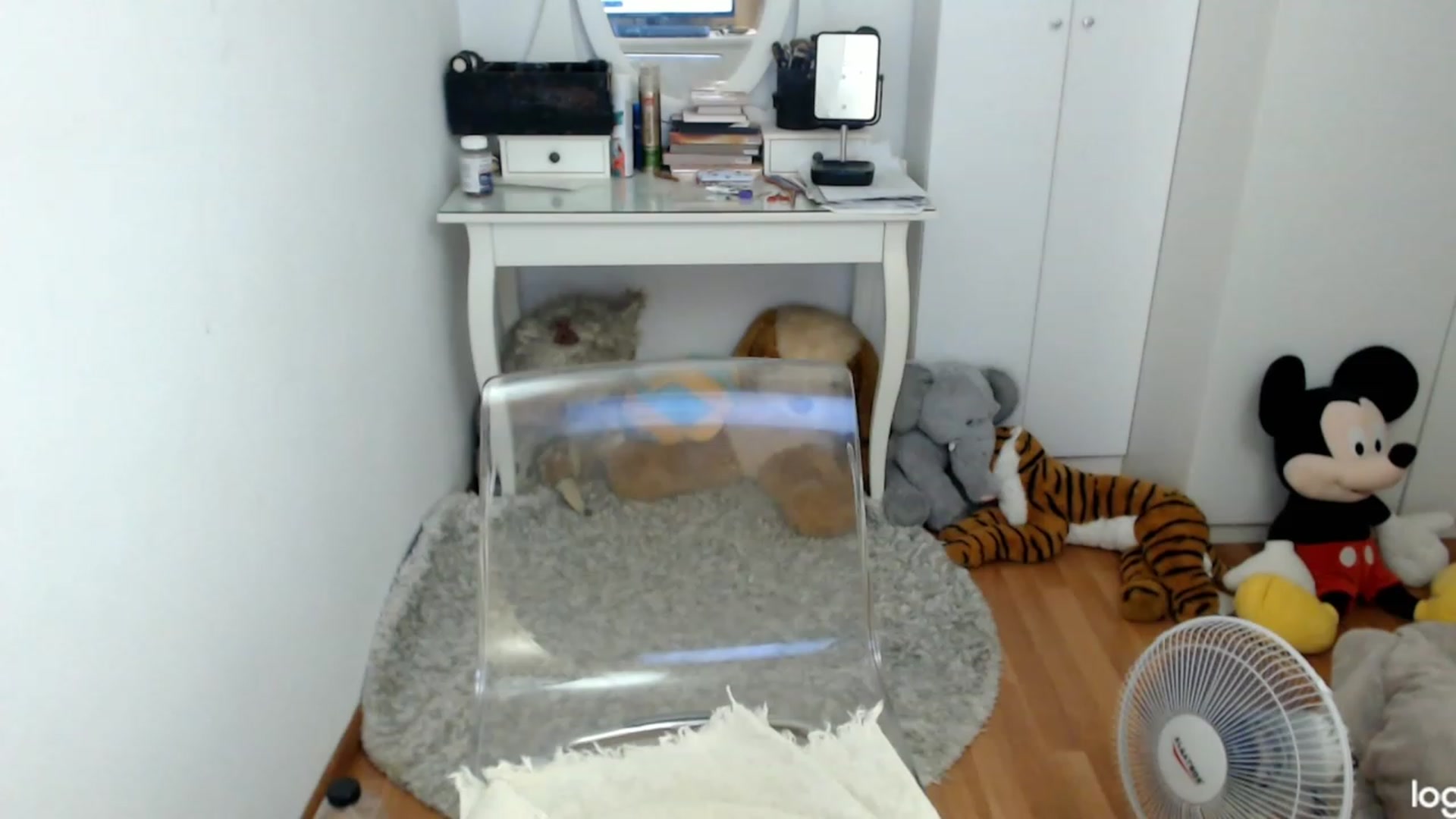 Gallery image thumbnail from SummerJewel's myfreecams stream on, 08/05/2023, 09:01 image 8 of 20