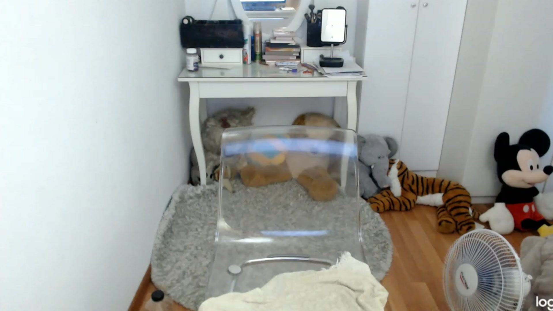 Gallery image thumbnail from SummerJewel's myfreecams stream on, 08/05/2023, 10:02 image 8 of 20