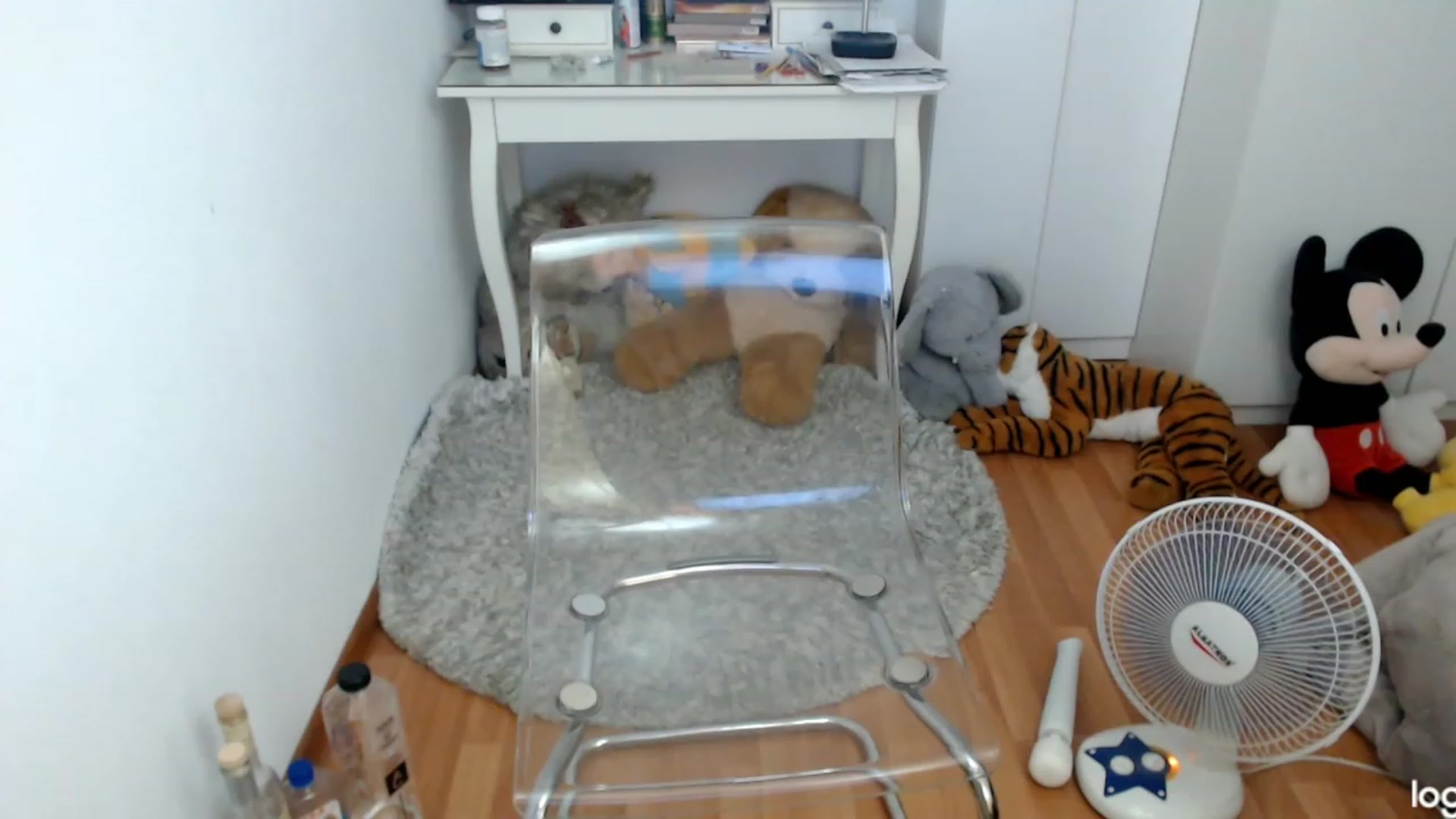 Gallery image thumbnail from SummerJewel's myfreecams stream on, 08/06/2023, 08:19 image 16 of 20