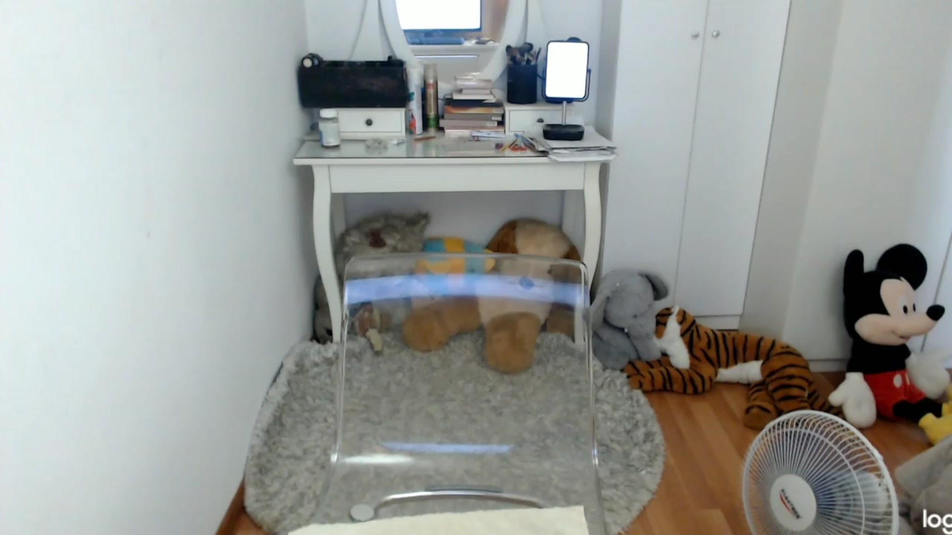 Gallery image thumbnail from SummerJewel's myfreecams stream on, 08/06/2023, 08:19 image 9 of 20
