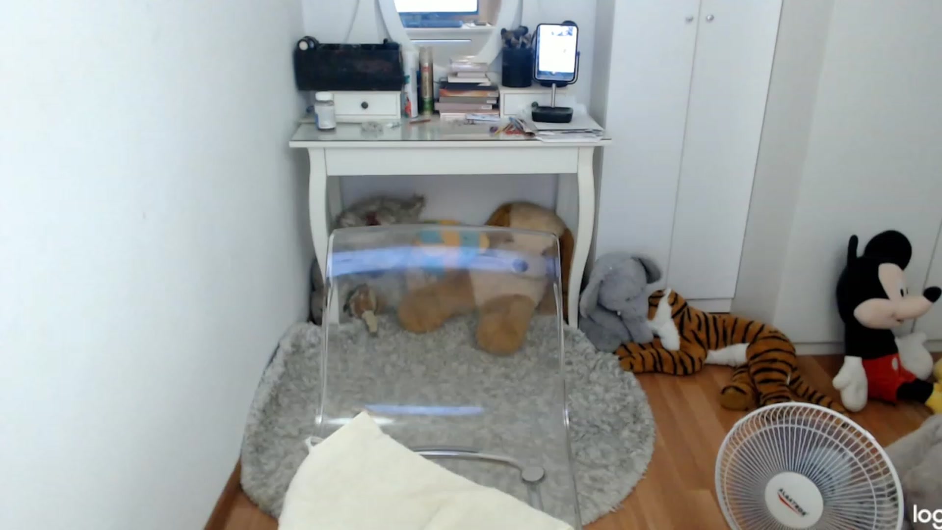 Gallery image thumbnail from SummerJewel's myfreecams stream on, 08/06/2023, 09:35 image 10 of 20