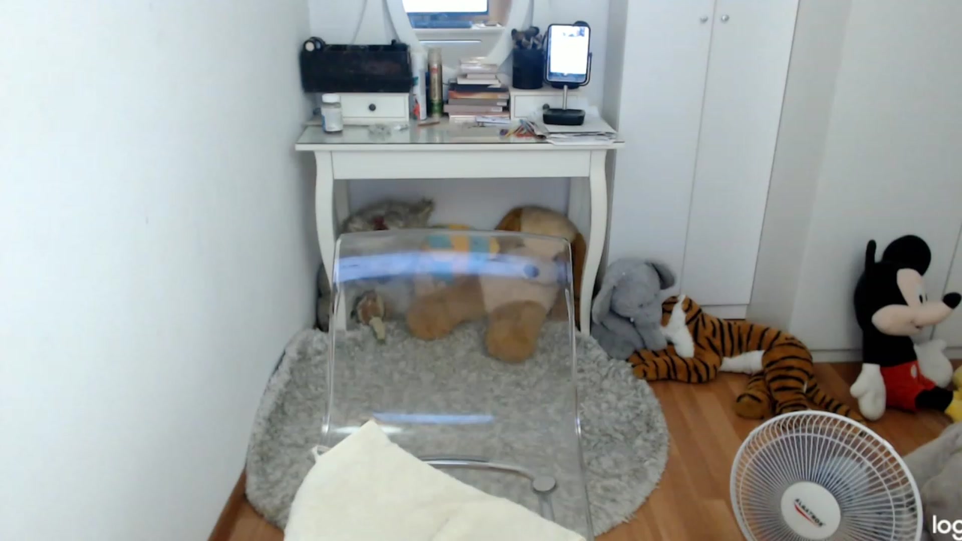 Gallery image thumbnail from SummerJewel's myfreecams stream on, 08/06/2023, 09:35 image 11 of 20