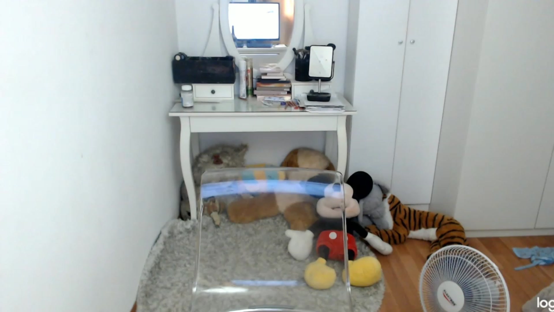 Gallery image thumbnail from SummerJewel's myfreecams stream on, 08/08/2023, 08:27 image 17 of 20