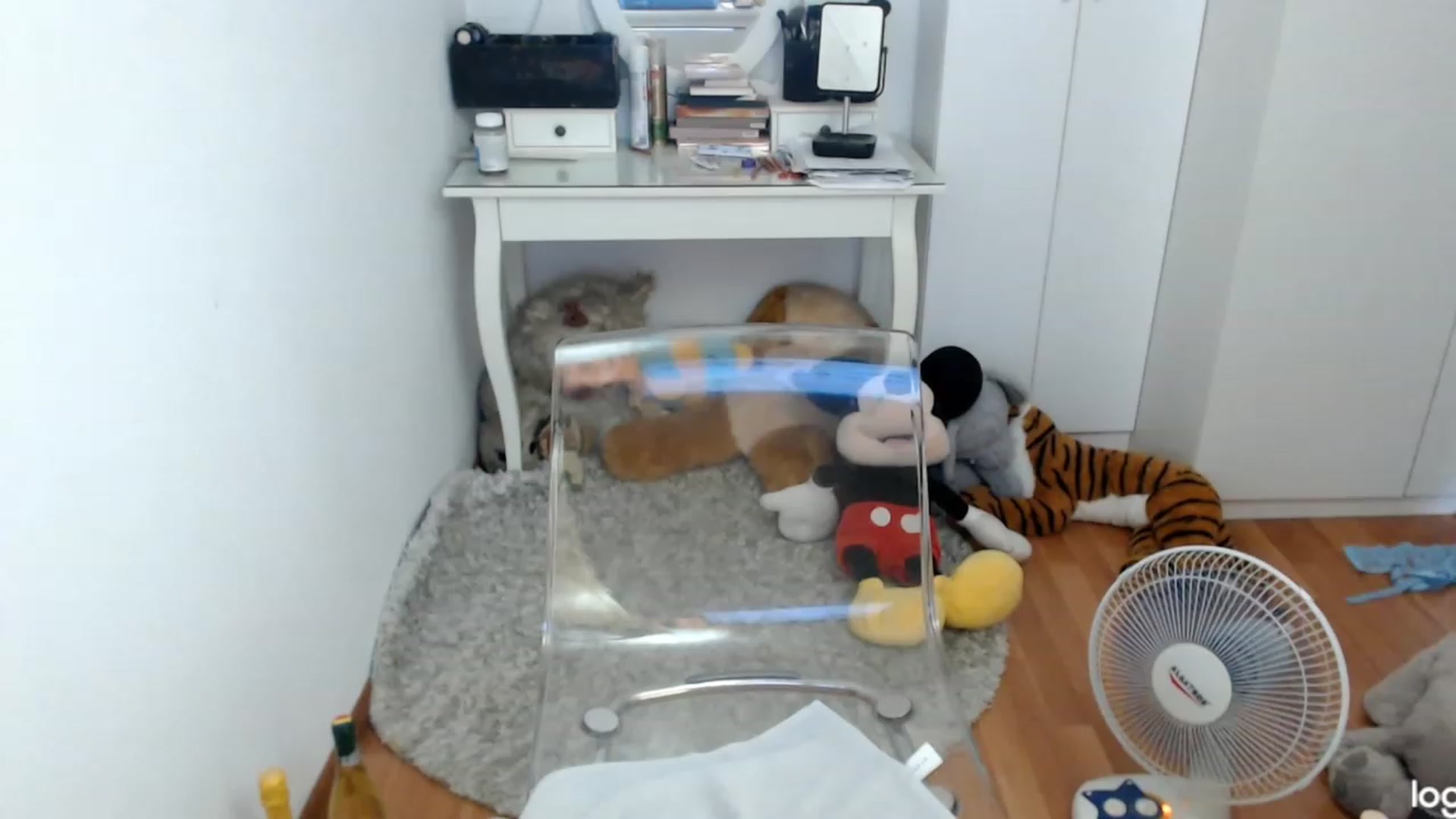 Gallery image thumbnail from SummerJewel's myfreecams stream on, 08/08/2023, 09:16 image 6 of 20
