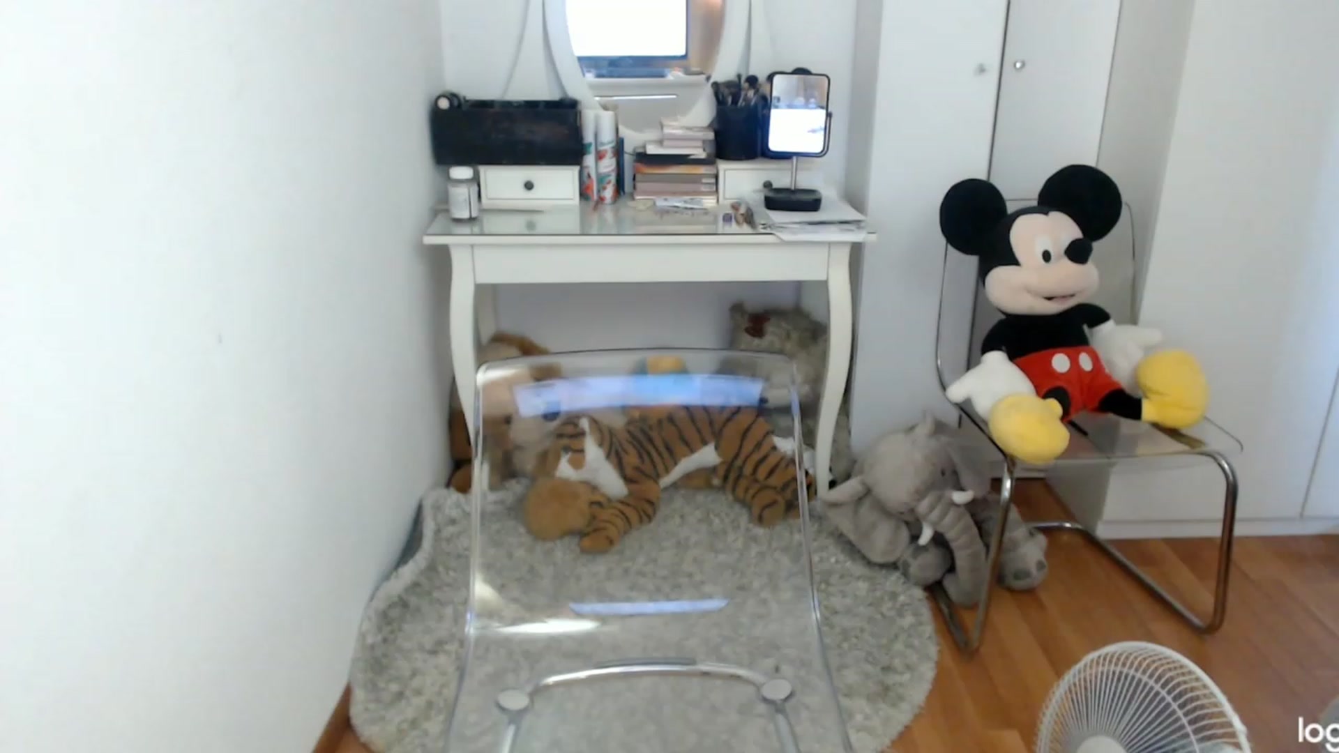 Gallery image thumbnail from SummerJewel's myfreecams stream on, 08/20/2023, 08:07 image 17 of 20