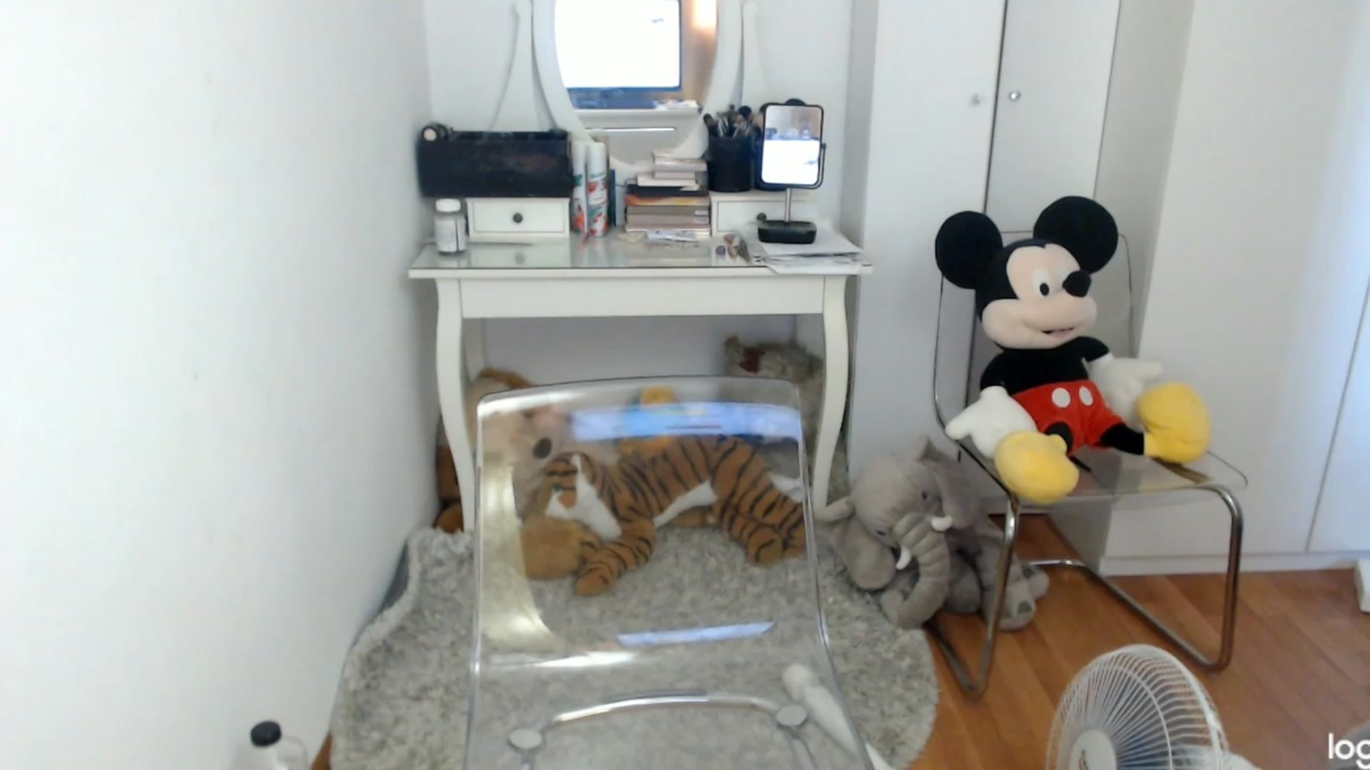 Gallery image thumbnail from SummerJewel's myfreecams stream on, 08/20/2023, 09:07 image 12 of 20