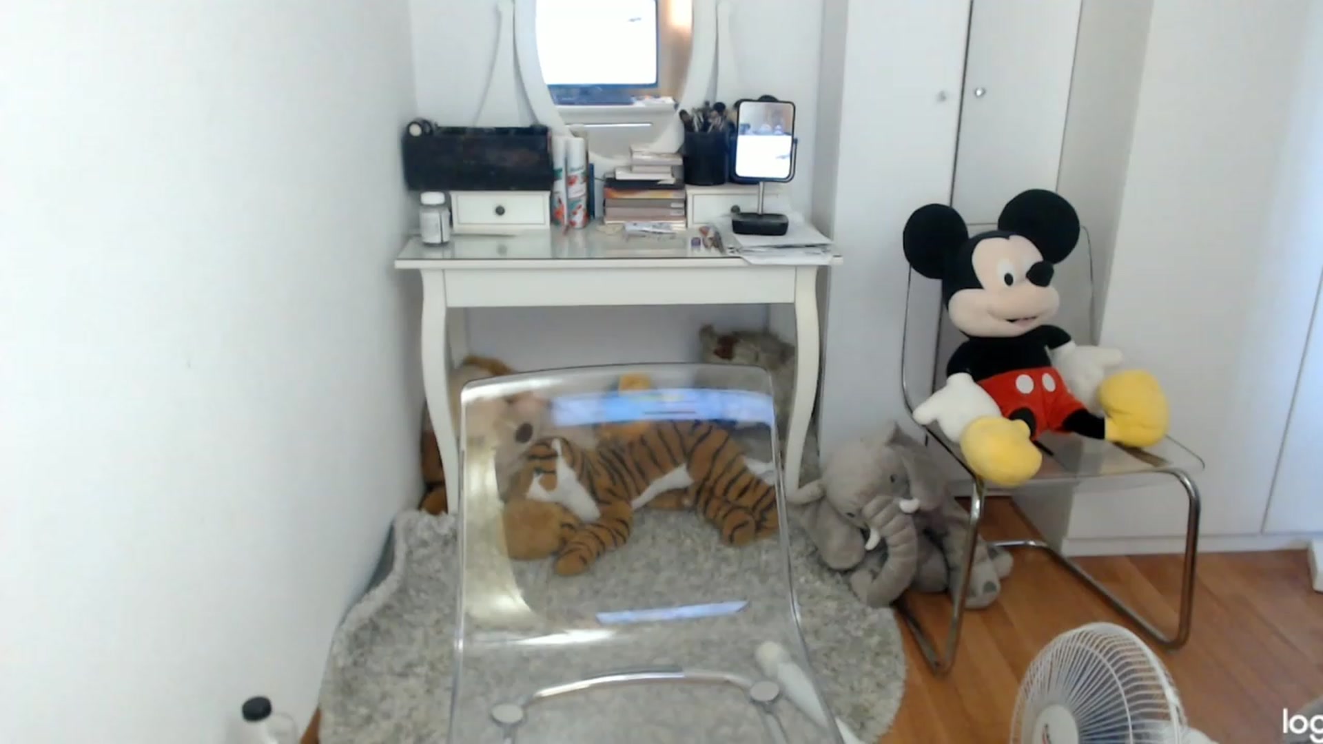 Gallery image thumbnail from SummerJewel's myfreecams stream on, 08/20/2023, 09:07 image 10 of 20