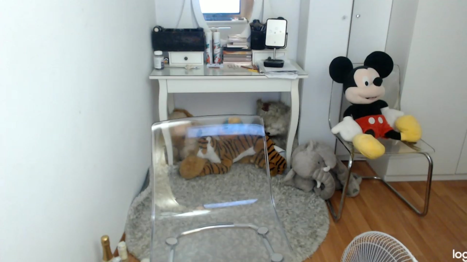 Gallery image thumbnail from SummerJewel's myfreecams stream on, 08/22/2023, 10:16 image 7 of 20