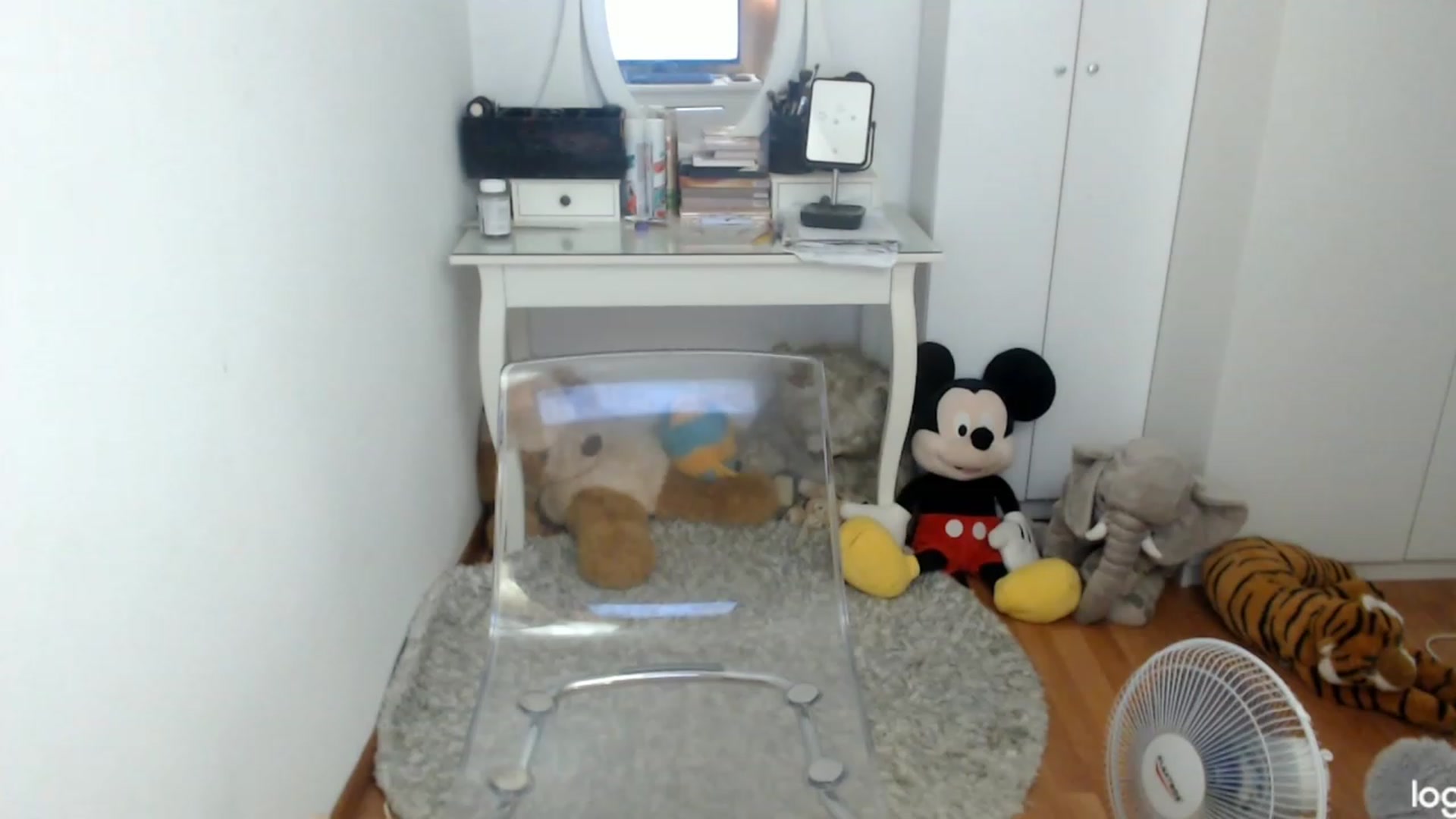 Gallery image thumbnail from SummerJewel's myfreecams stream on, 08/31/2023, 09:33 image 9 of 20