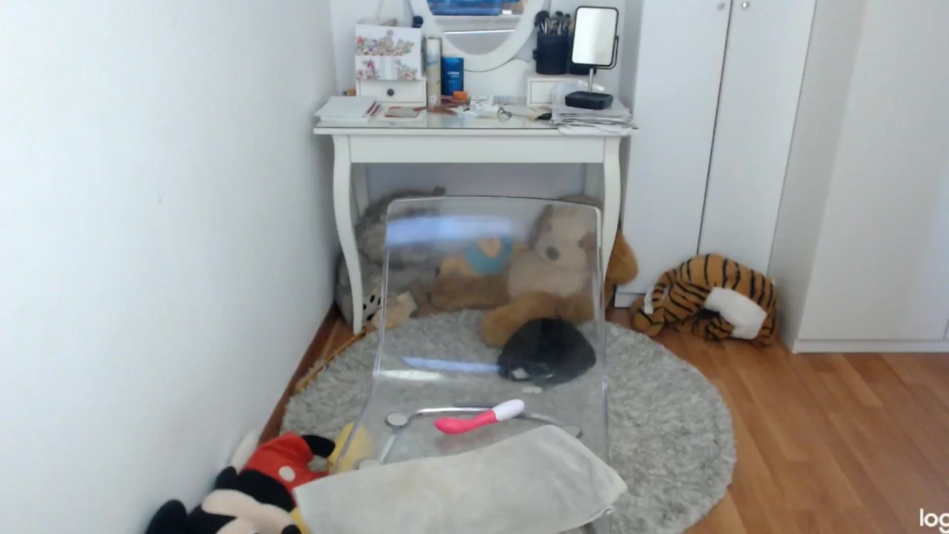 Gallery image thumbnail from SummerJewel's myfreecams stream on, 06/04/2024, 08:46 image 10 of 20