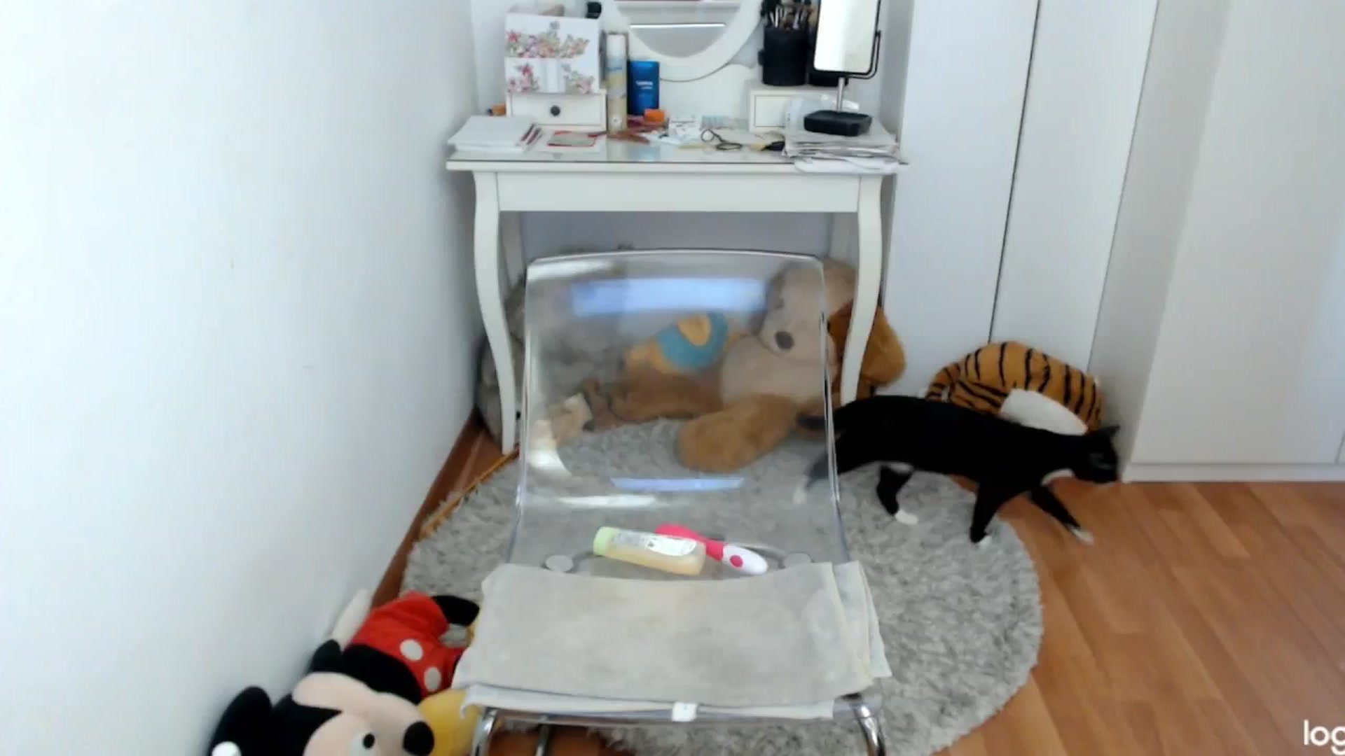 Gallery image thumbnail from SummerJewel's myfreecams stream on, 06/04/2024, 08:46 image 13 of 20