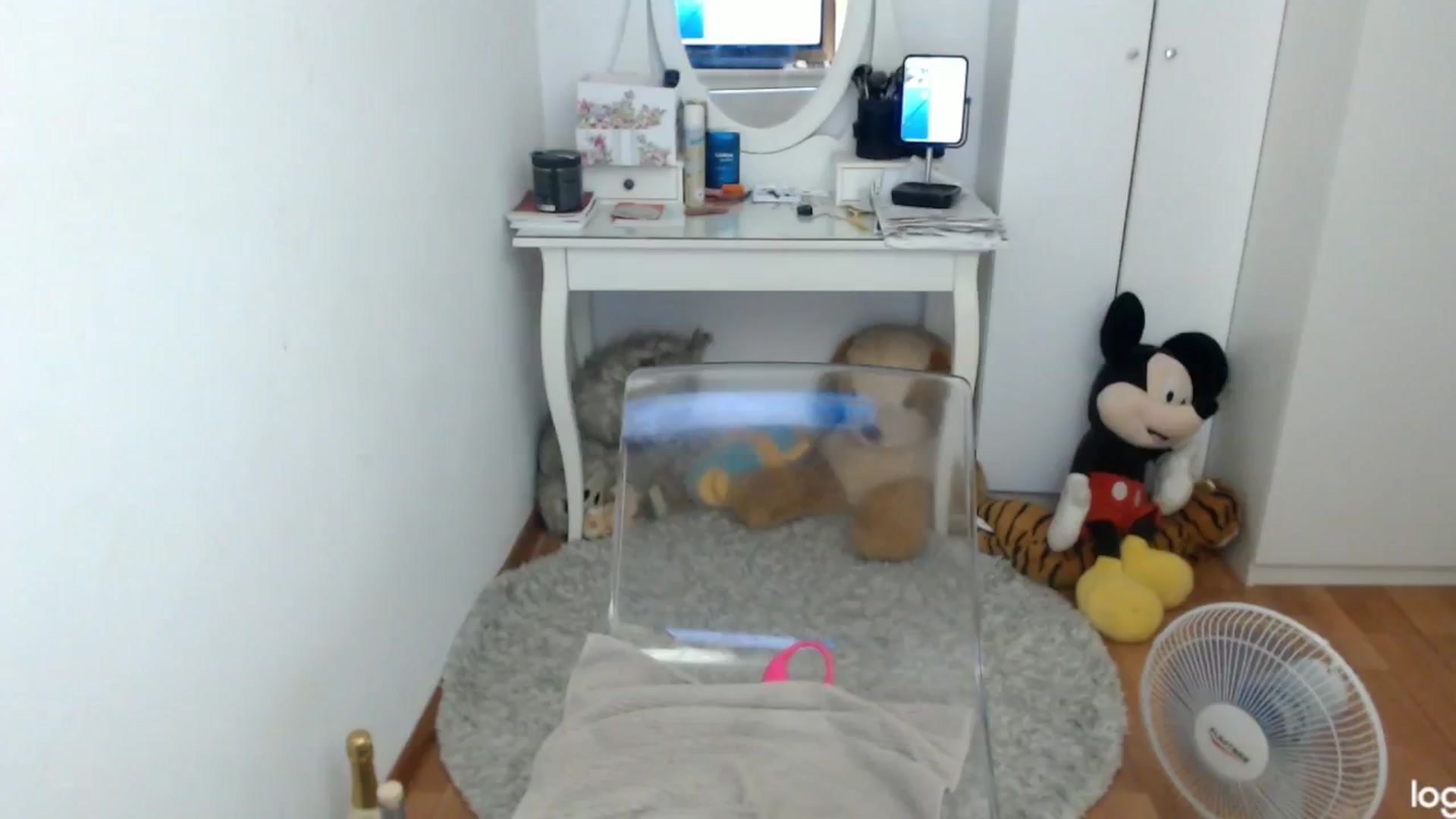 Gallery image thumbnail from SummerJewel's myfreecams stream on, 06/12/2024, 08:25 image 19 of 20