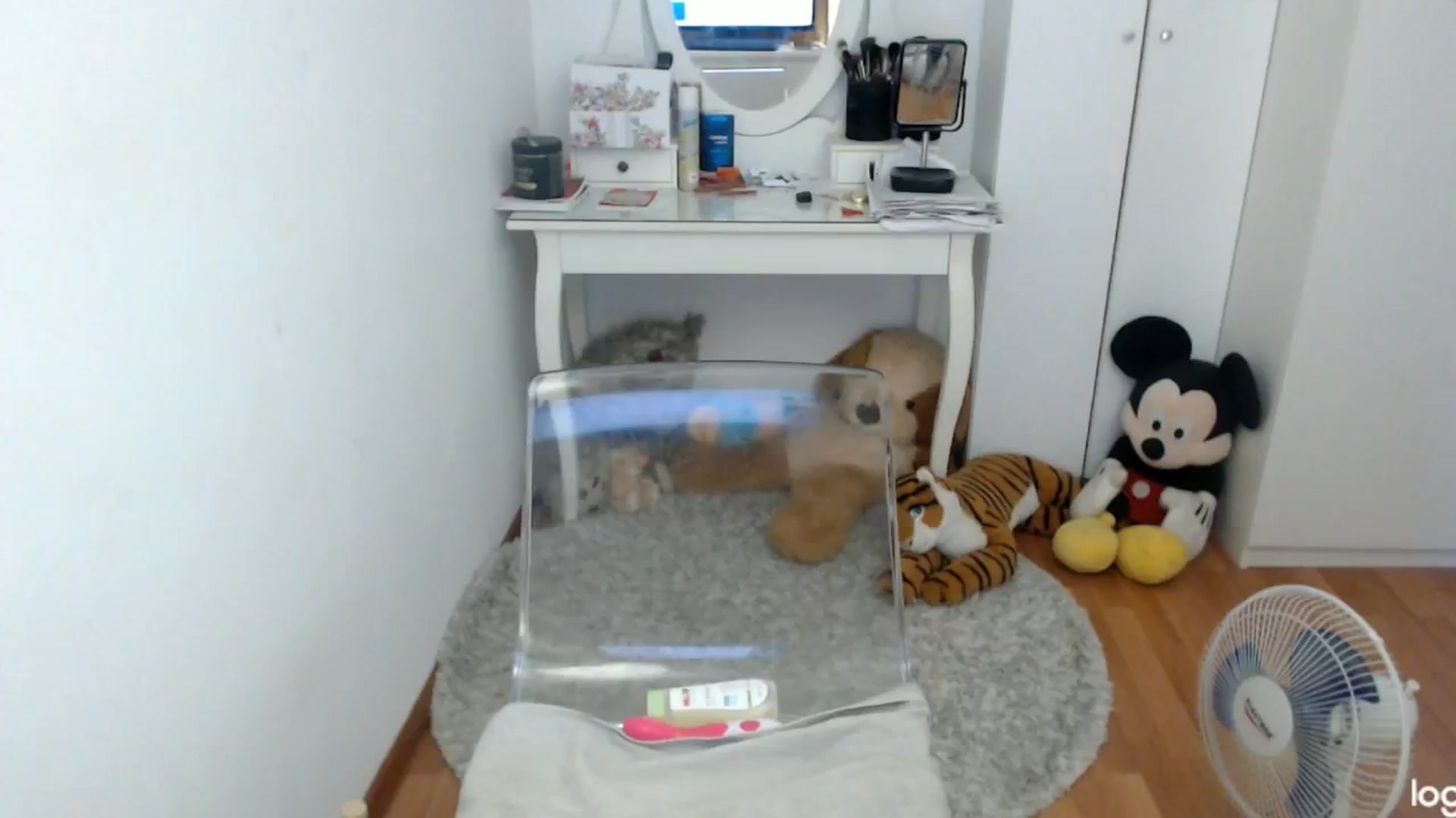 Gallery image thumbnail from SummerJewel's myfreecams stream on, 06/16/2024, 08:17 image 5 of 20