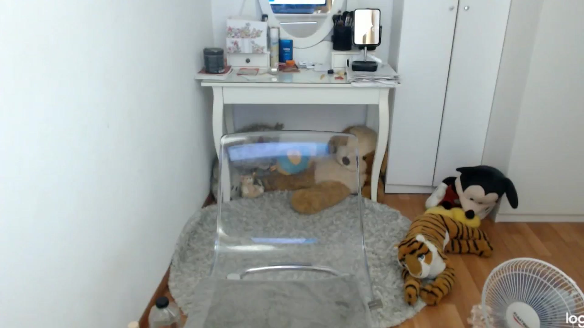 Gallery image thumbnail from SummerJewel's myfreecams stream on, 06/18/2024, 05:04 image 14 of 20