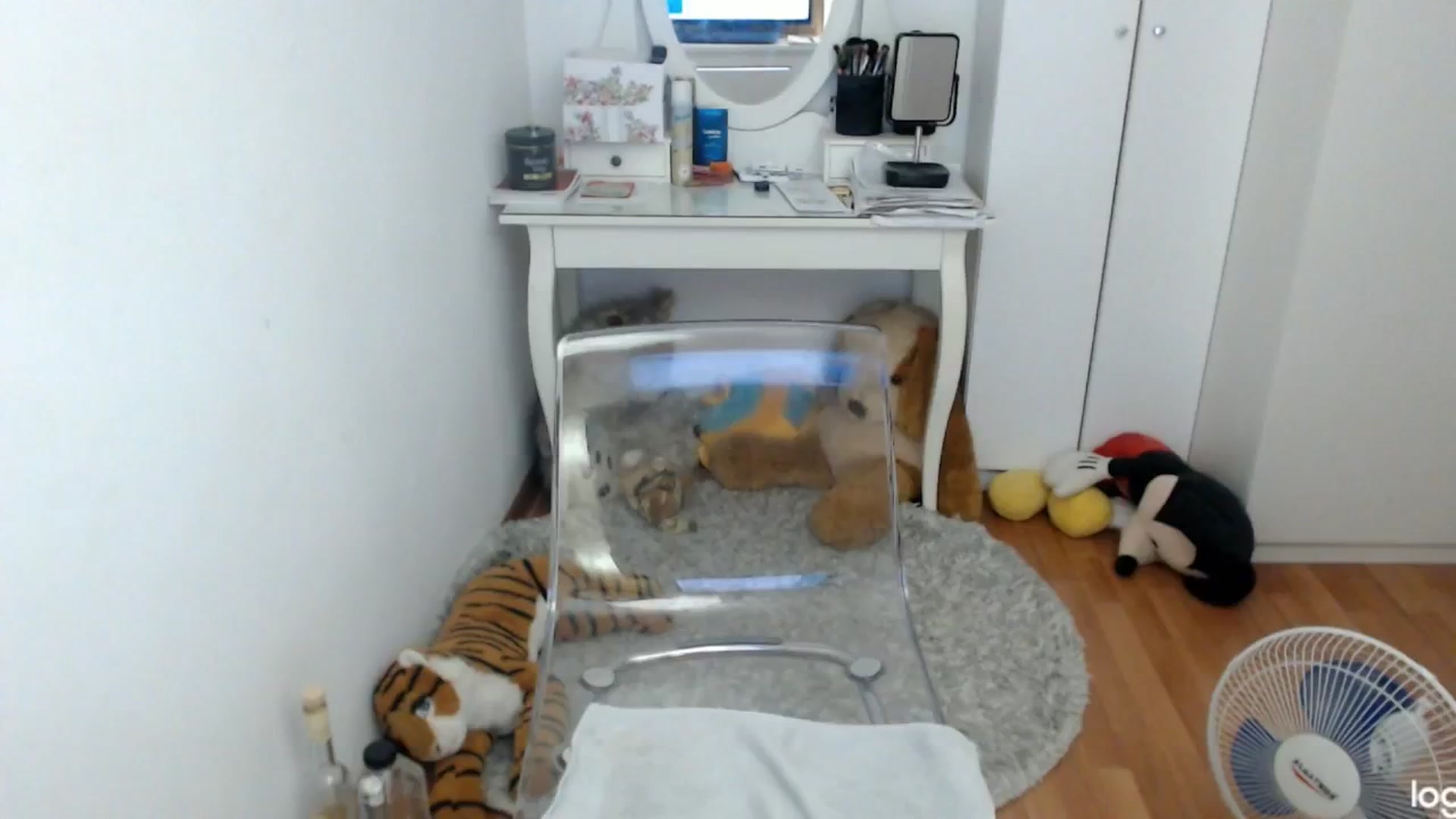 Gallery image thumbnail from SummerJewel's myfreecams stream on, 06/22/2024, 06:55 image 10 of 20