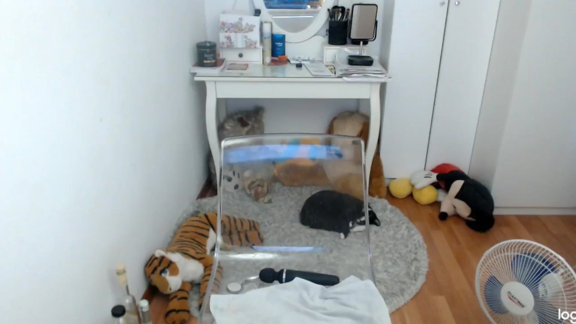 Gallery image thumbnail from SummerJewel's myfreecams stream on, 06/22/2024, 08:28 image 6 of 20