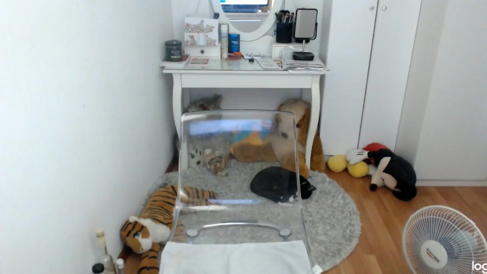Gallery image thumbnail from SummerJewel's myfreecams stream on, 06/22/2024, 08:28 image 9 of 20