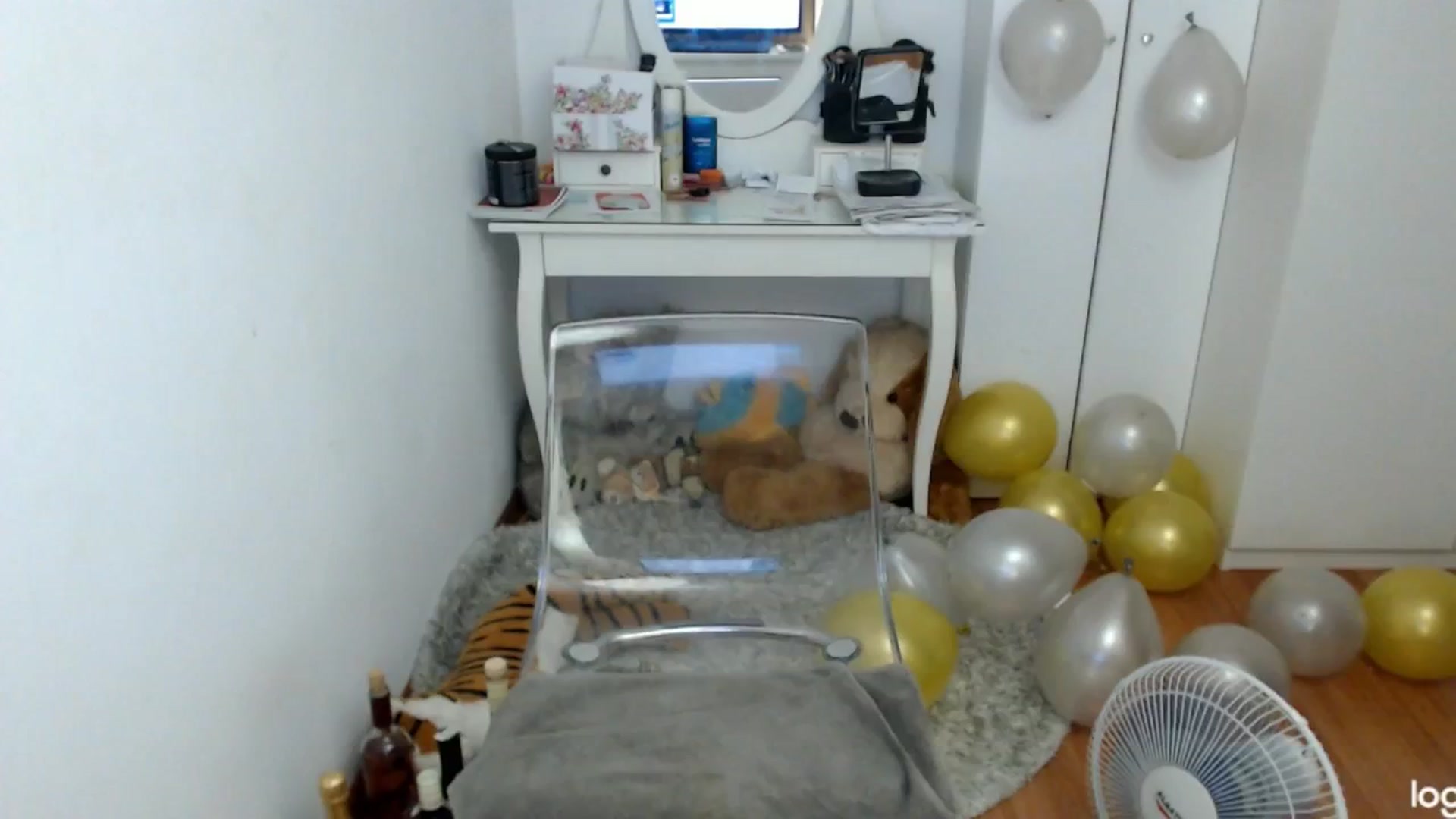 Gallery image thumbnail from SummerJewel's myfreecams stream on, 06/27/2024, 07:33 image 4 of 20