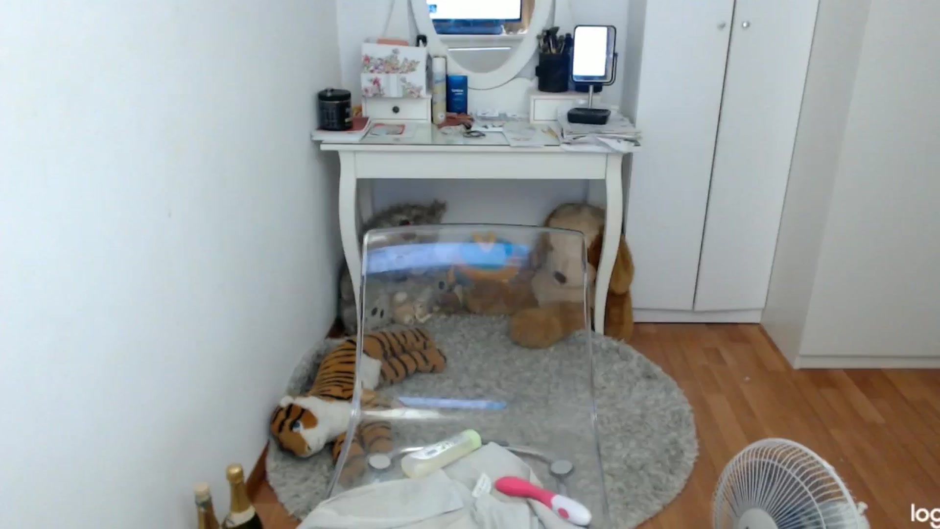 Gallery image thumbnail from SummerJewel's myfreecams stream on, 07/03/2024, 07:59 image 4 of 20